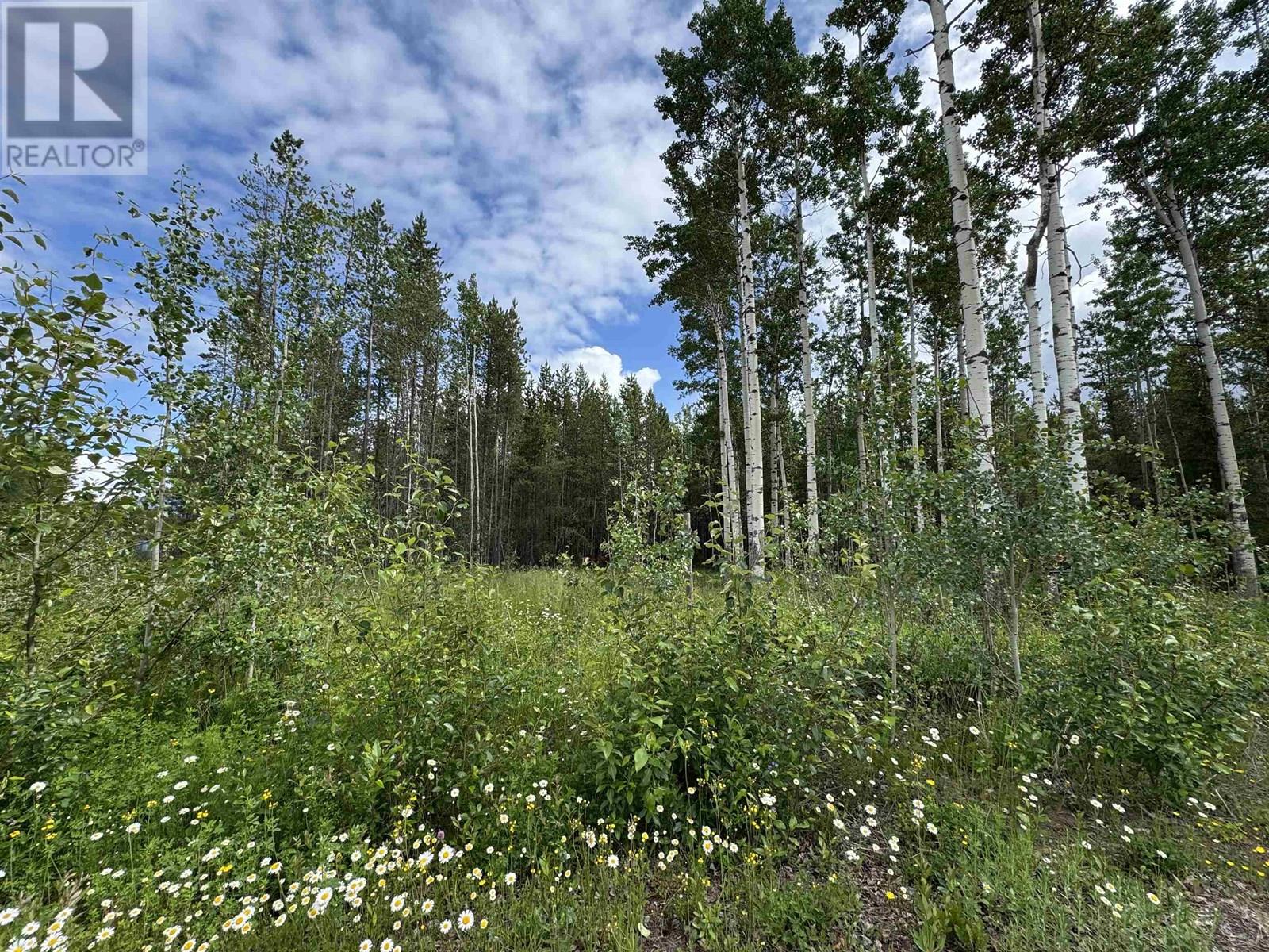1170 FOWLER PLACE, Valemount, British Columbia