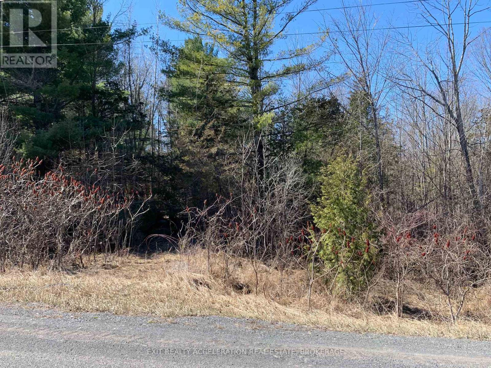 00 Con11 Pine Grove Road, Greater Napanee, Ontario  K0K 2L0 - Photo 11 - X12233054