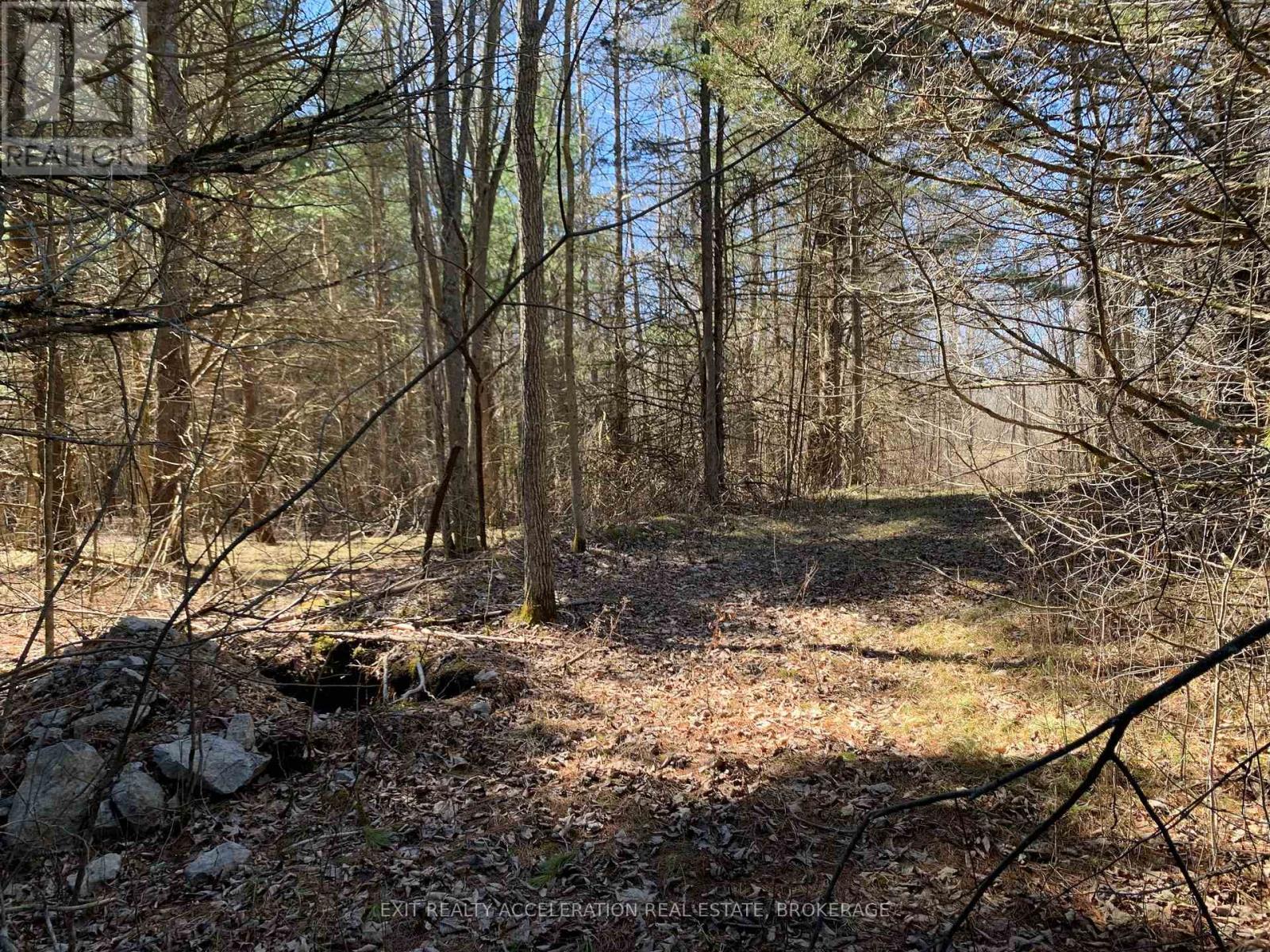 00 Con11 Pine Grove Road, Greater Napanee, Ontario  K0K 2L0 - Photo 13 - X12233054