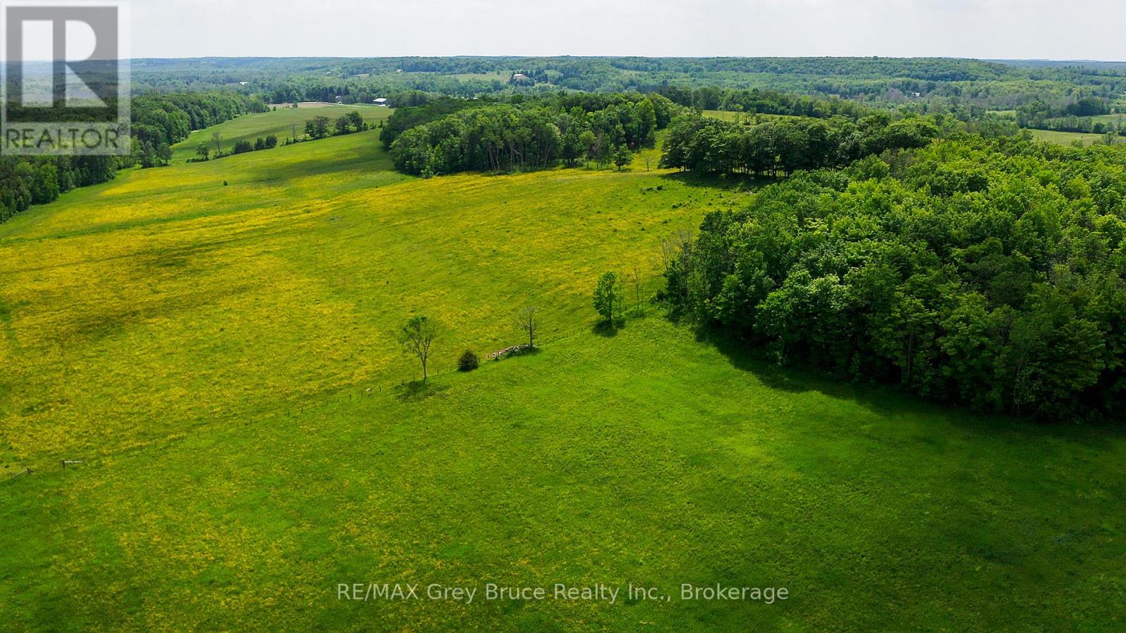 319144 Grey Road 1, Georgian Bluffs, Ontario  N4K 0G2 - Photo 16 - X12233184
