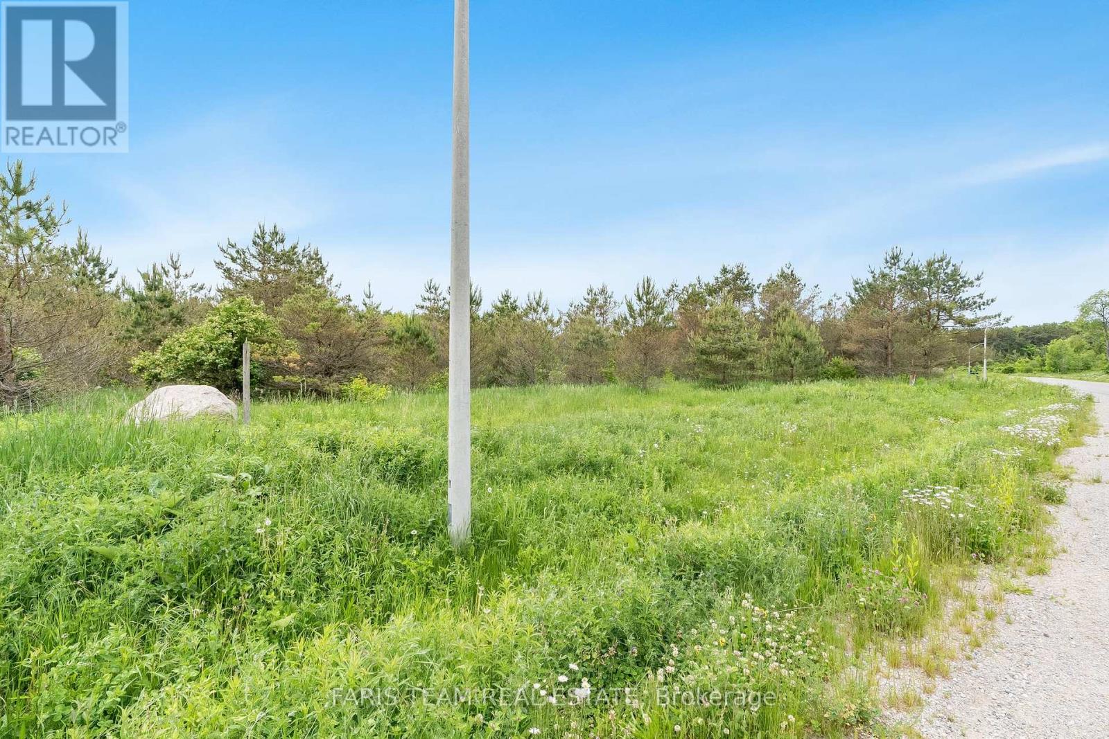 Lot 31 Rue Eric, Tiny, Ontario  L9M 0H1 - Photo 3 - S12061345