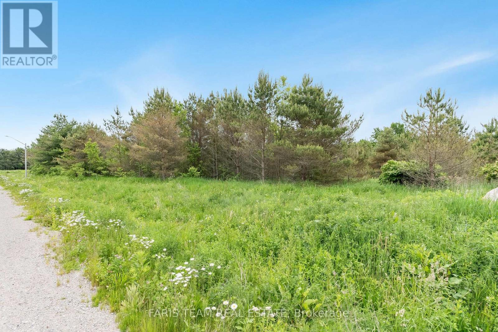 Lot 31 Rue Eric, Tiny, Ontario  L9M 0H1 - Photo 5 - S12061345