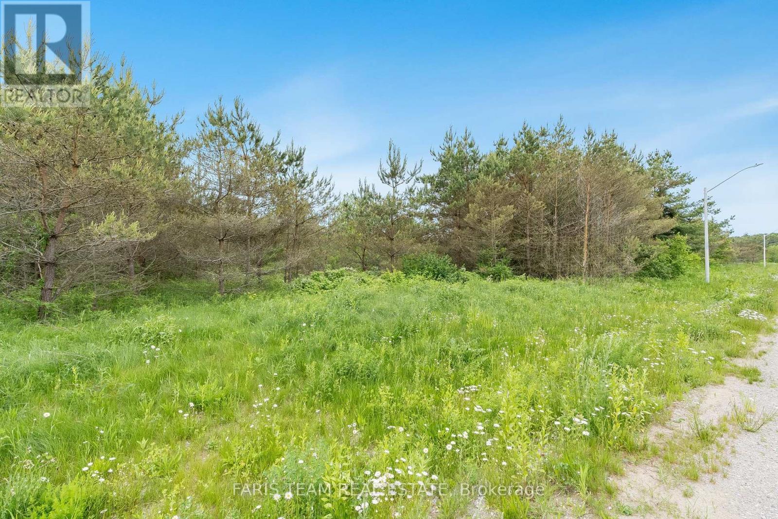 Lot 33 Rue Eric, Tiny, Ontario  L9M 0H1 - Photo 3 - S12061349