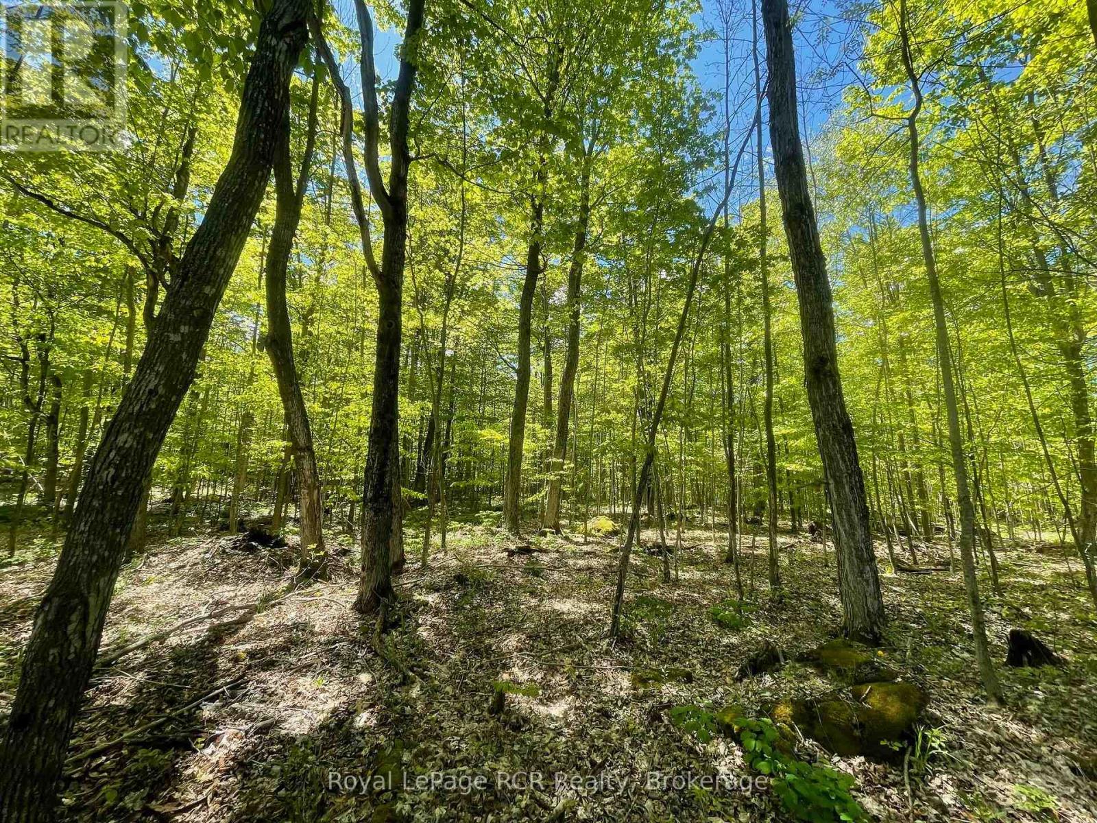 N/a Sunny Valley Road, Meaford, Ontario  N4K 5N8 - Photo 11 - X12233510