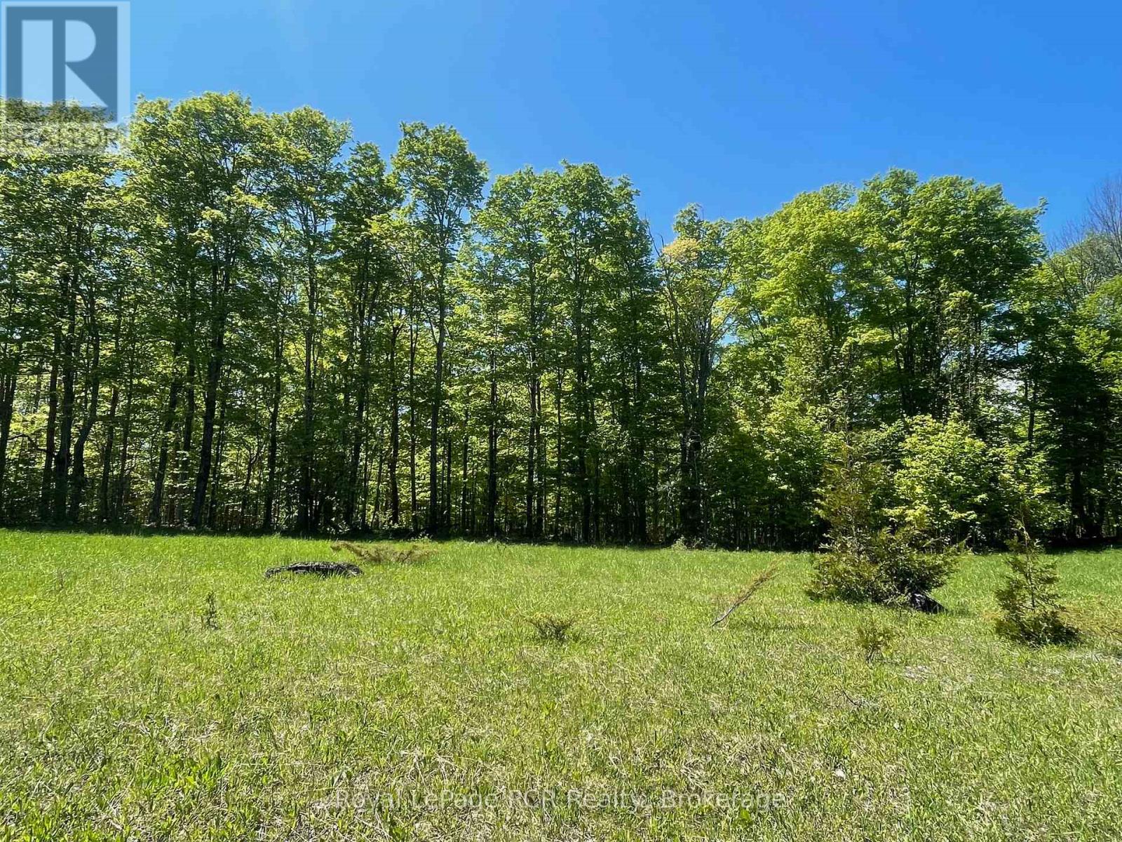 N/a Sunny Valley Road, Meaford, Ontario  N4K 5N8 - Photo 20 - X12233510