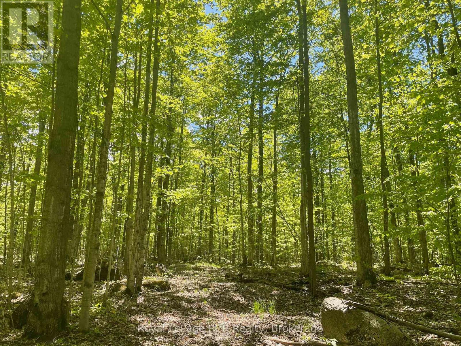 N/a Sunny Valley Road, Meaford, Ontario  N4K 5N8 - Photo 22 - X12233510