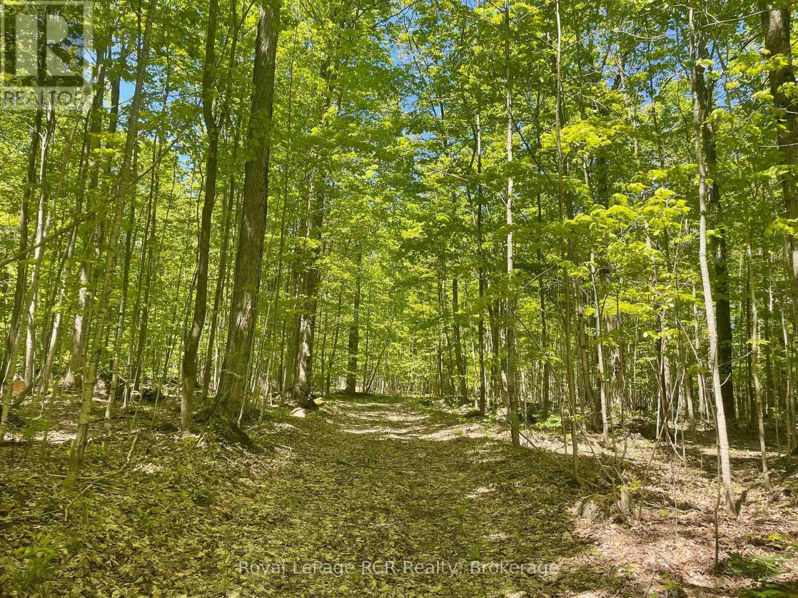 N/a Sunny Valley Road, Meaford, Ontario  N4K 5N8 - Photo 23 - X12233510