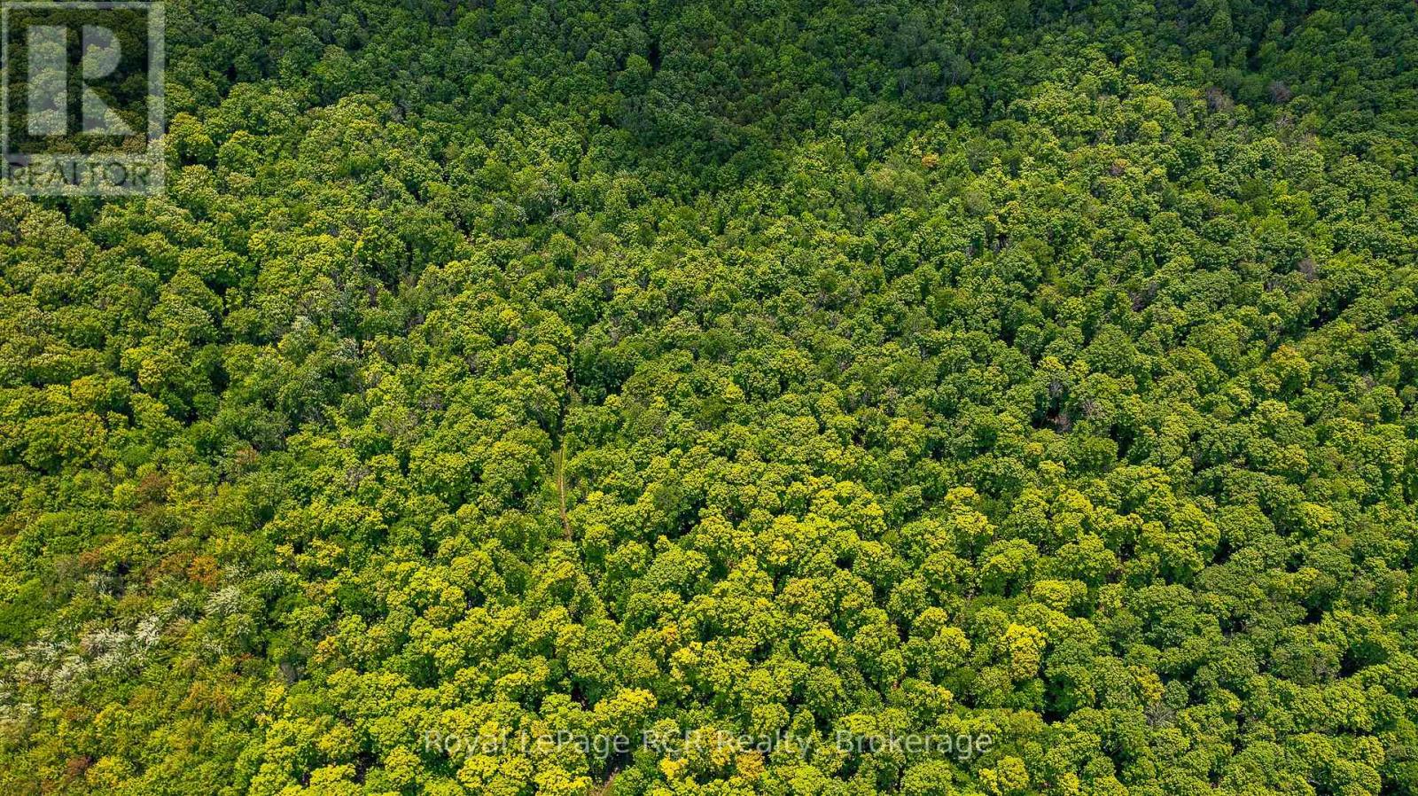 N/a Sunny Valley Road, Meaford, Ontario  N4K 5N8 - Photo 4 - X12233510