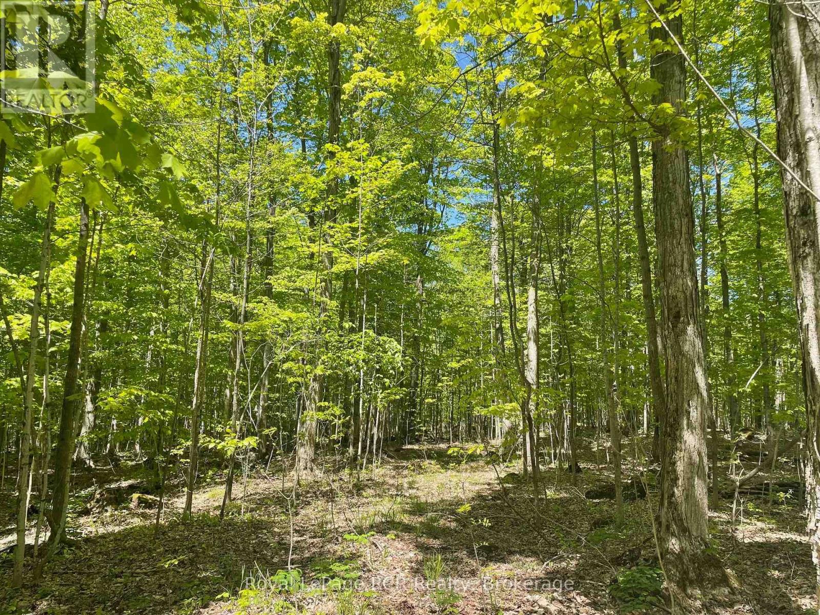 N/a Sunny Valley Road, Meaford, Ontario  N4K 5N8 - Photo 5 - X12233510