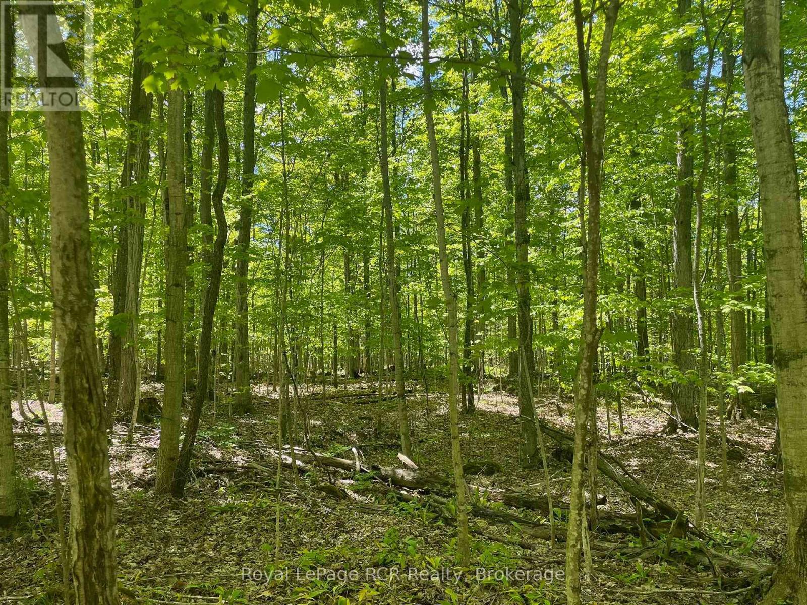 N/a Sunny Valley Road, Meaford, Ontario  N4K 5N8 - Photo 6 - X12233510
