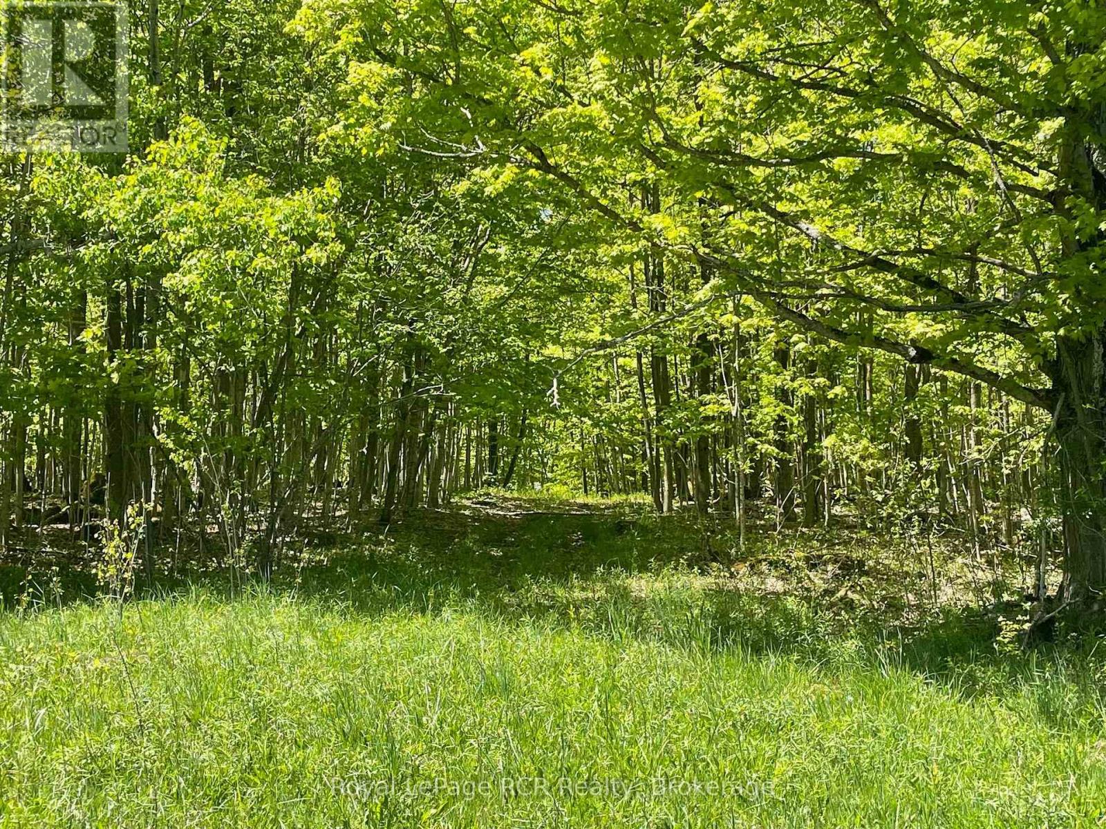 N/a Sunny Valley Road, Meaford, Ontario  N4K 5N8 - Photo 9 - X12233510
