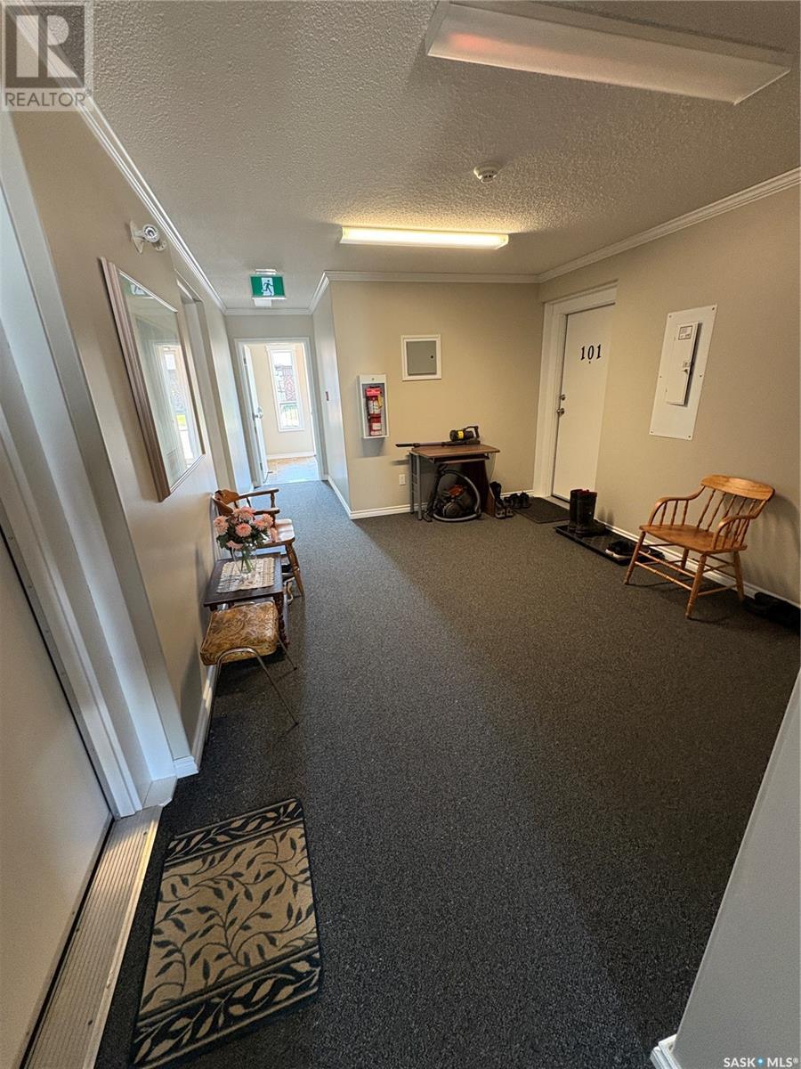 103 120 Wells Avenue, Langenburg, Saskatchewan  S0A 2A0 - Photo 18 - SK010074
