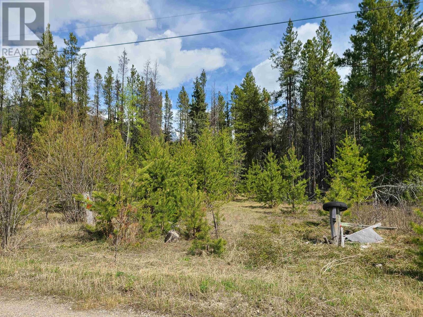 2300 MAIN STREET, Valemount, British Columbia