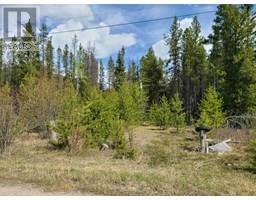 2300 Main Street, Valemount, Ca