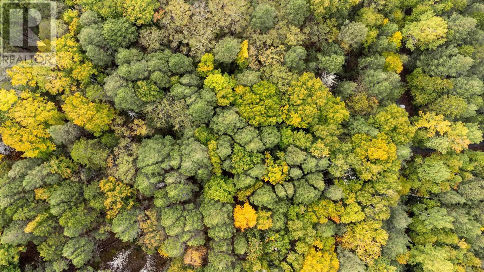 Lot 36 Beaver Dam Crossover, Labelle, Nova Scotia  B0T 1E0 - Photo 9 - 202515175