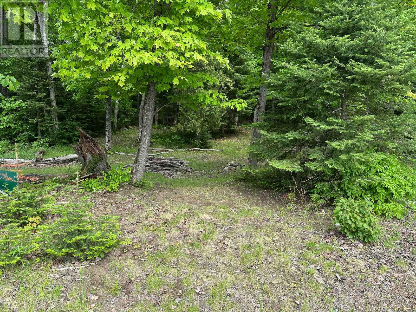 47 Shady Maple Trail, Whitestone, Ontario  P0A 1G0 - Photo 15 - X12233694