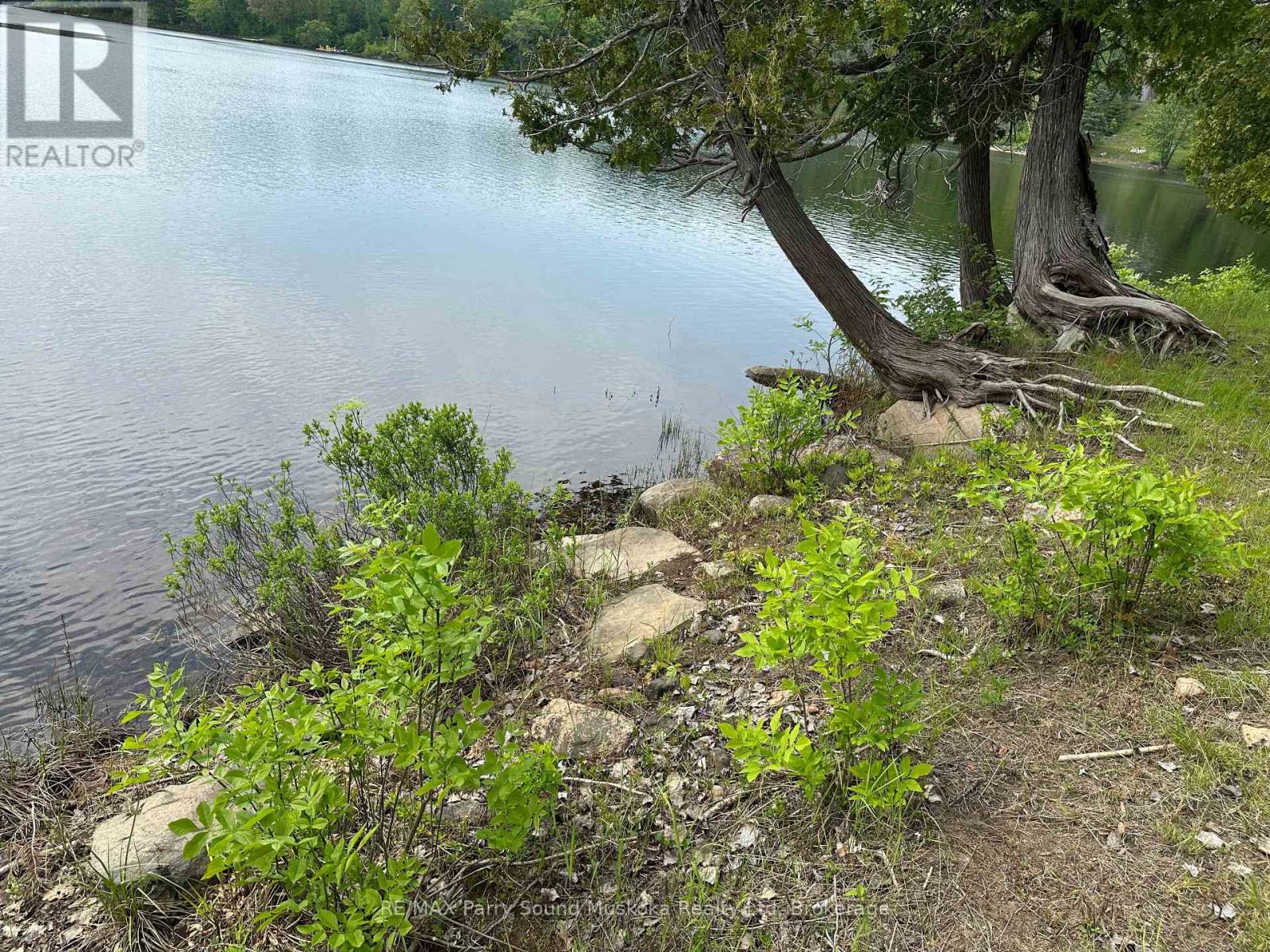 47 Shady Maple Trail, Whitestone, Ontario  P0A 1G0 - Photo 7 - X12233694