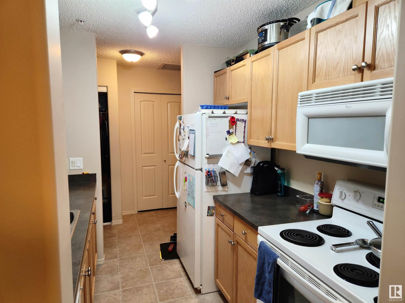 #123 2098 Blackmud Creek Dr Sw, Edmonton, Alberta  T6W 1T7 - Photo 15 - E4443263