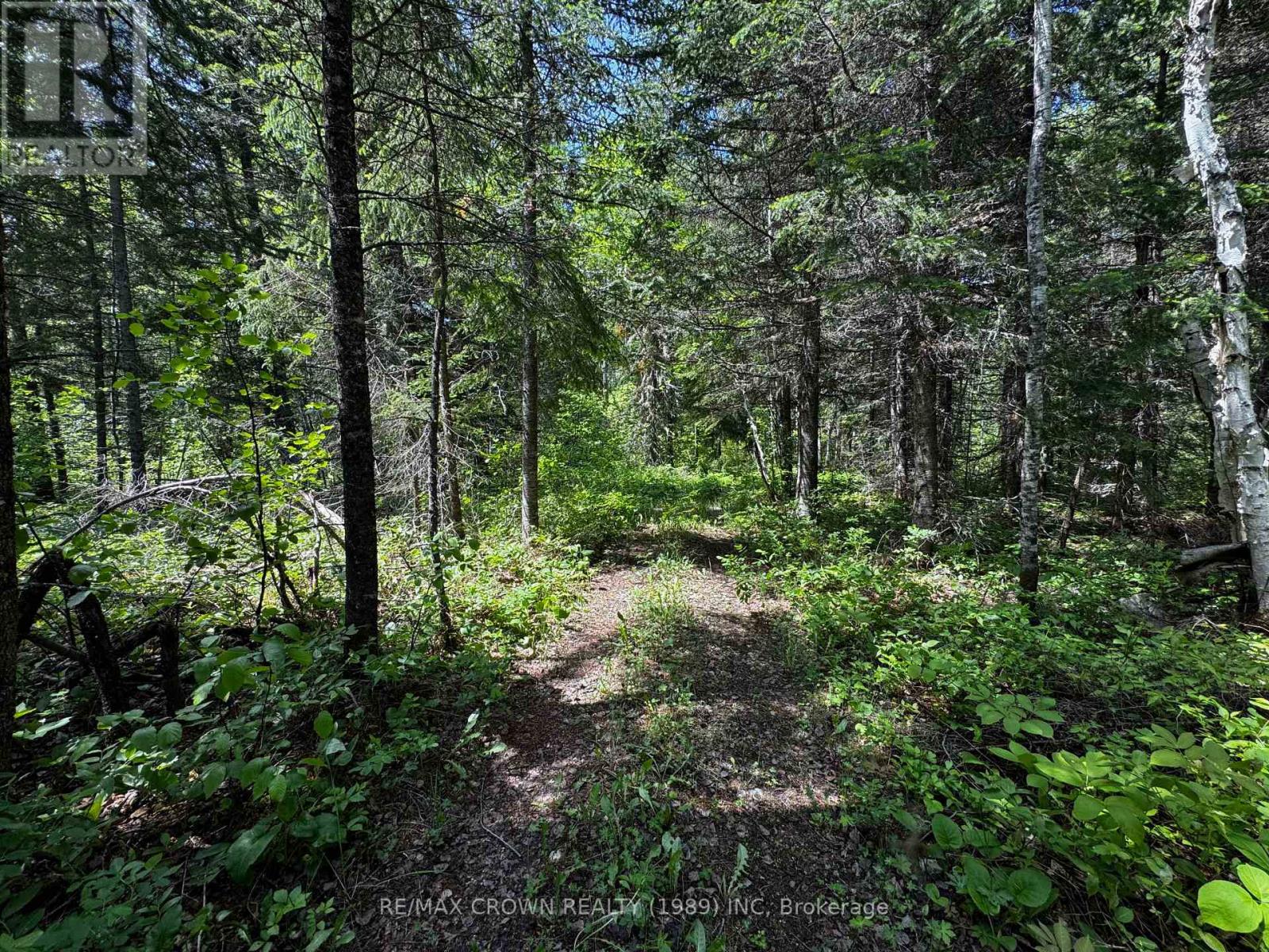 Unorganized - Pcl 13187 Bannerman Twp, Hearst, Ontario  P0L 1N0 - Photo 4 - T12233729