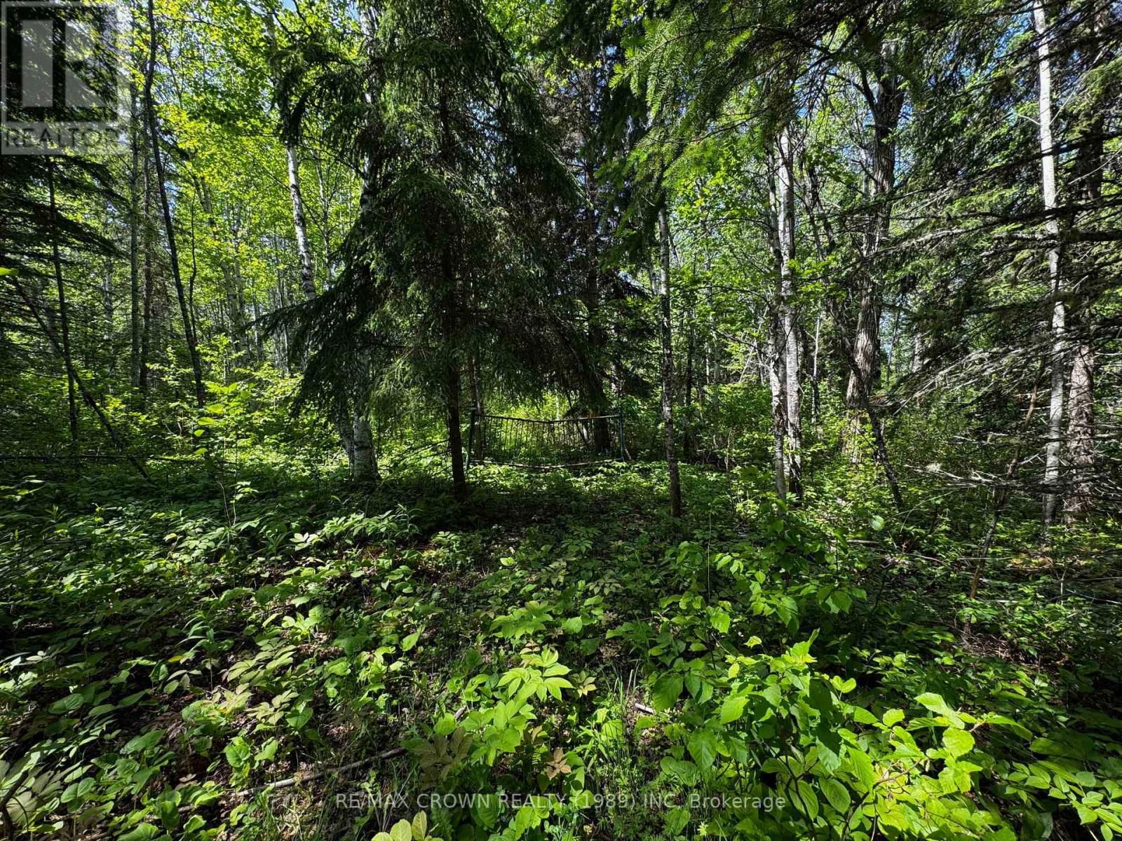 Unorganized - Pcl 13187 Bannerman Twp, Hearst, Ontario  P0L 1N0 - Photo 5 - T12233729