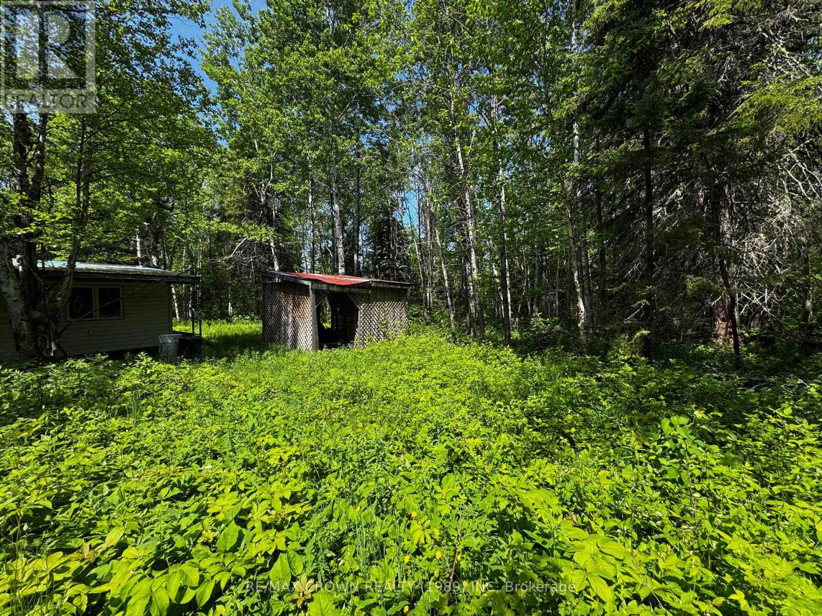 Unorganized - Pcl 13187 Bannerman Twp, Hearst, Ontario  P0L 1N0 - Photo 6 - T12233729