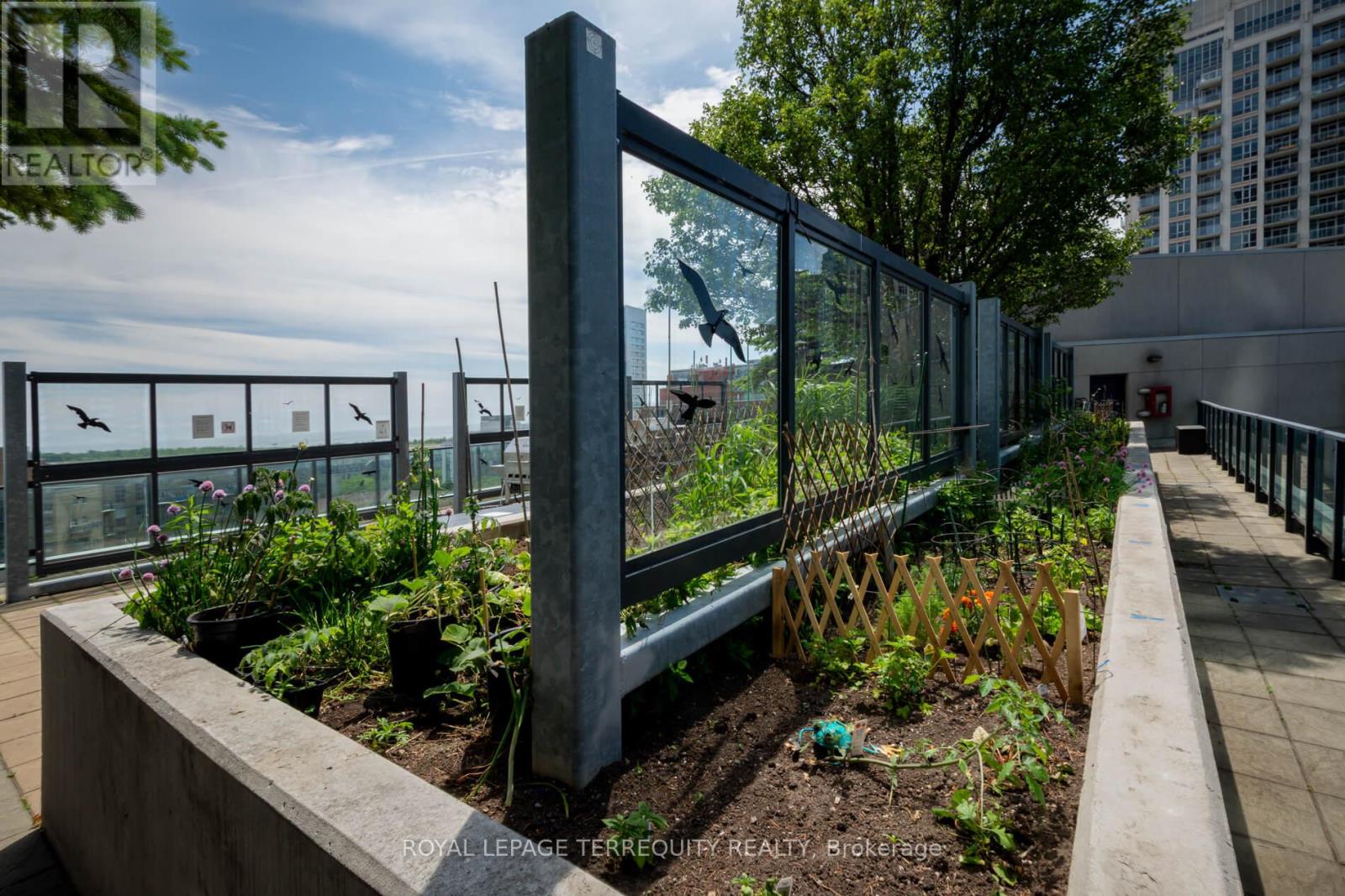 2211 - 600 Fleet Street, Toronto, Ontario  M5V 1B7 - Photo 34 - C12233565