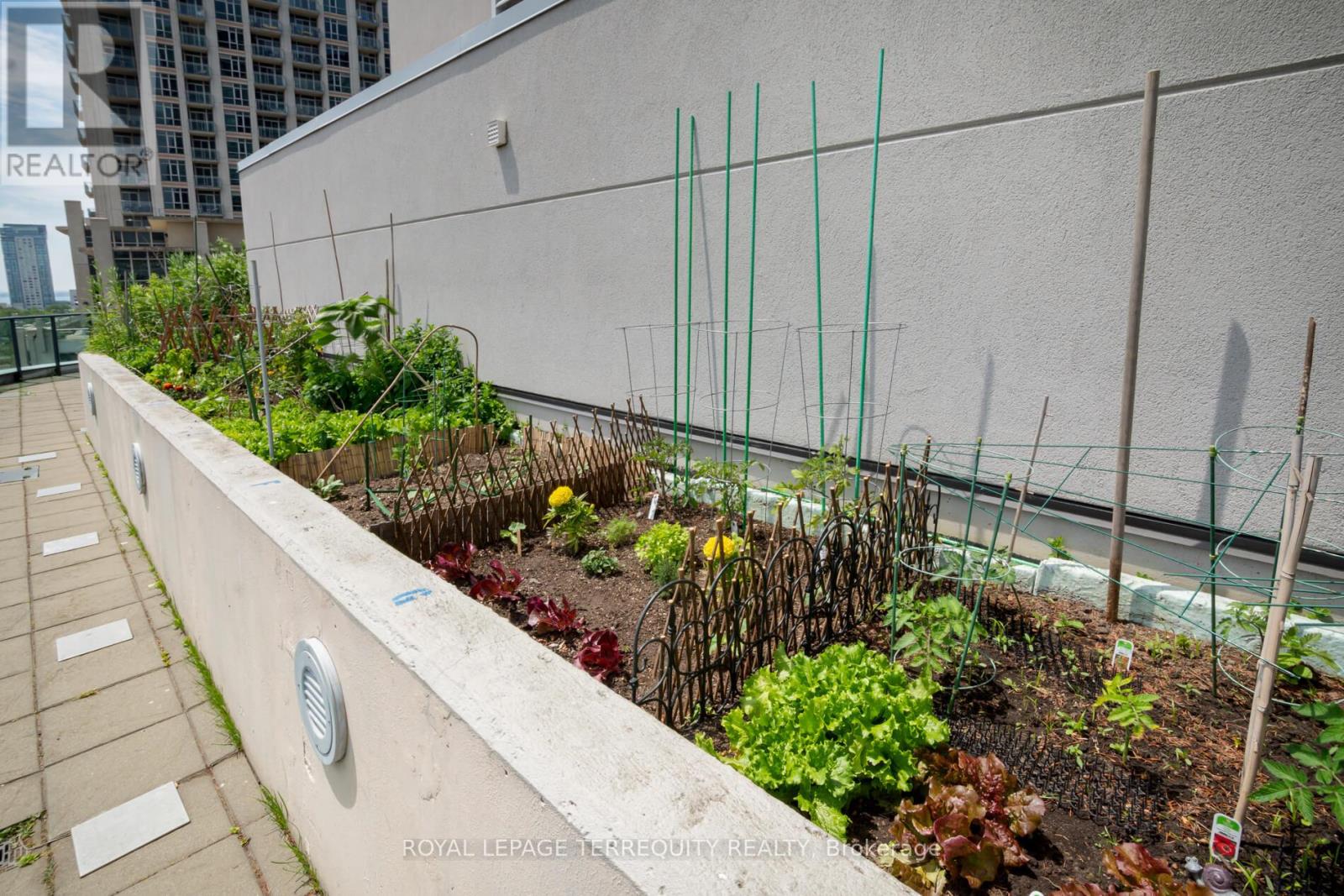 2211 - 600 Fleet Street, Toronto, Ontario  M5V 1B7 - Photo 38 - C12233565