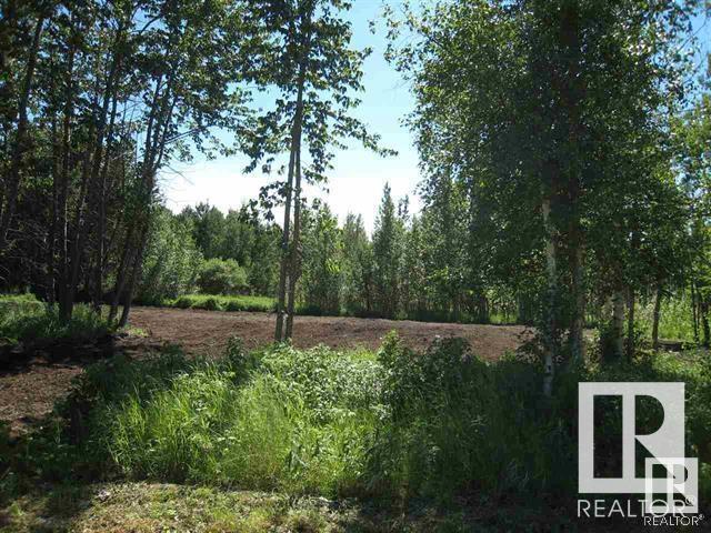 7 - 59229 Rge Rd 265, Rural Westlock County, Alberta  T7P 2N4 - Photo 1 - E4443306