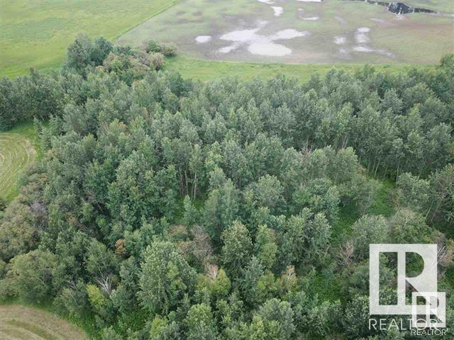 7 - 59229 Rge Rd 265, Rural Westlock County, Alberta  T7P 2N4 - Photo 9 - E4443306