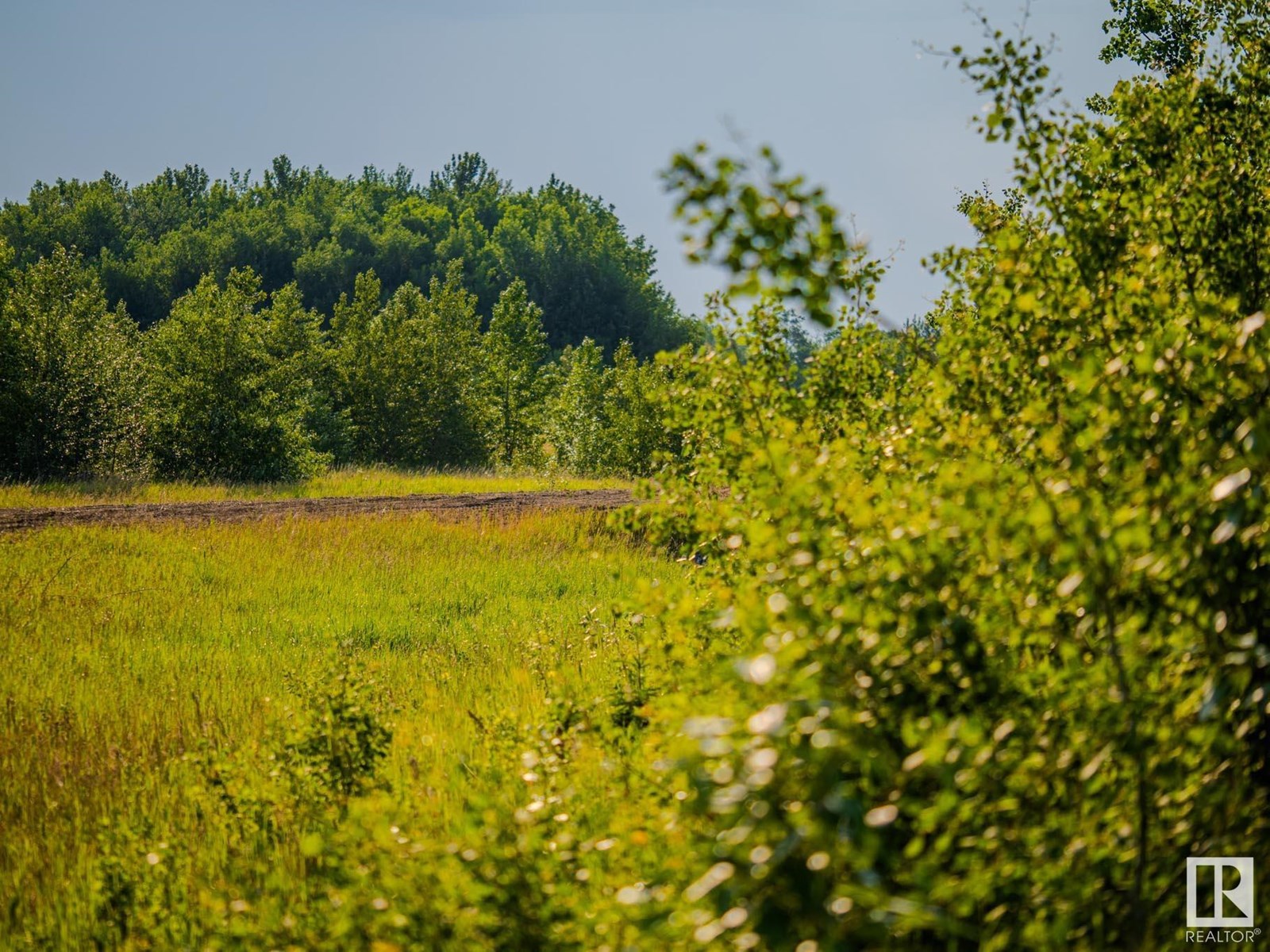 Nw 14-47-24-4, Rural Wetaskiwin County, Alberta  T0C 1Z0 - Photo 28 - E4443308