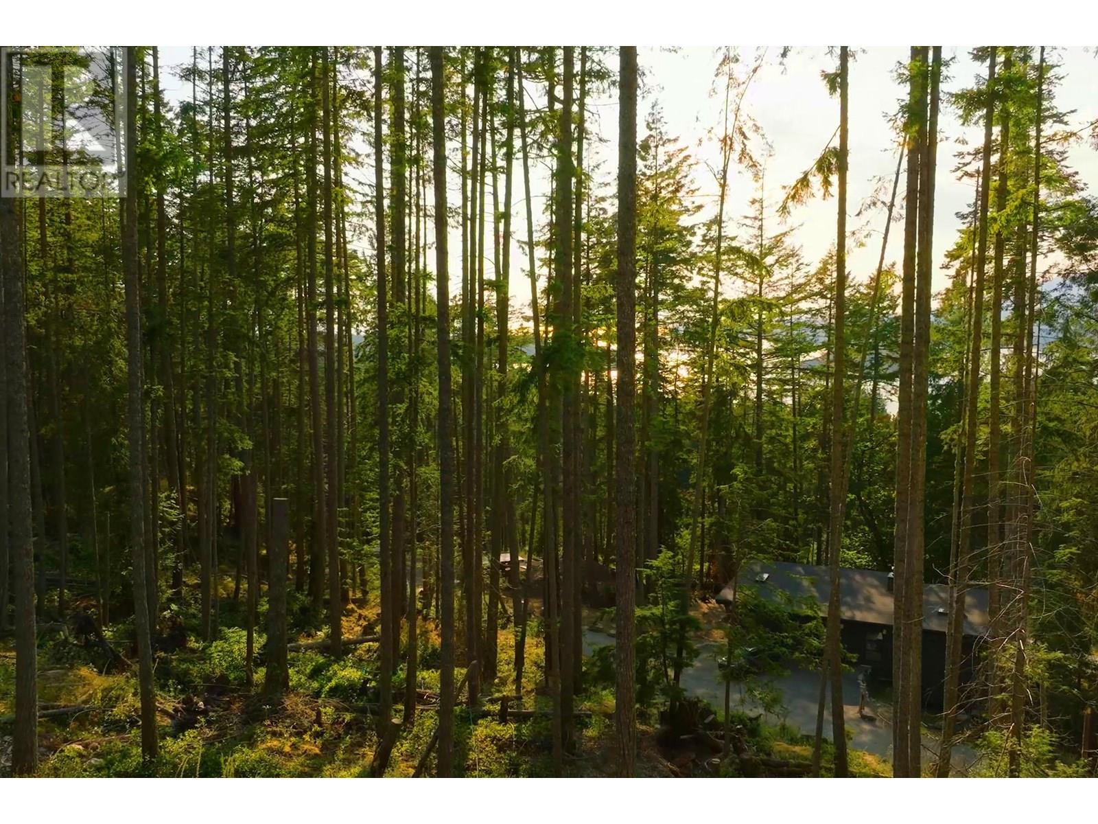 786 Hayes Road, Bowen Island, British Columbia  V0N 1G2 - Photo 5 - R3017985