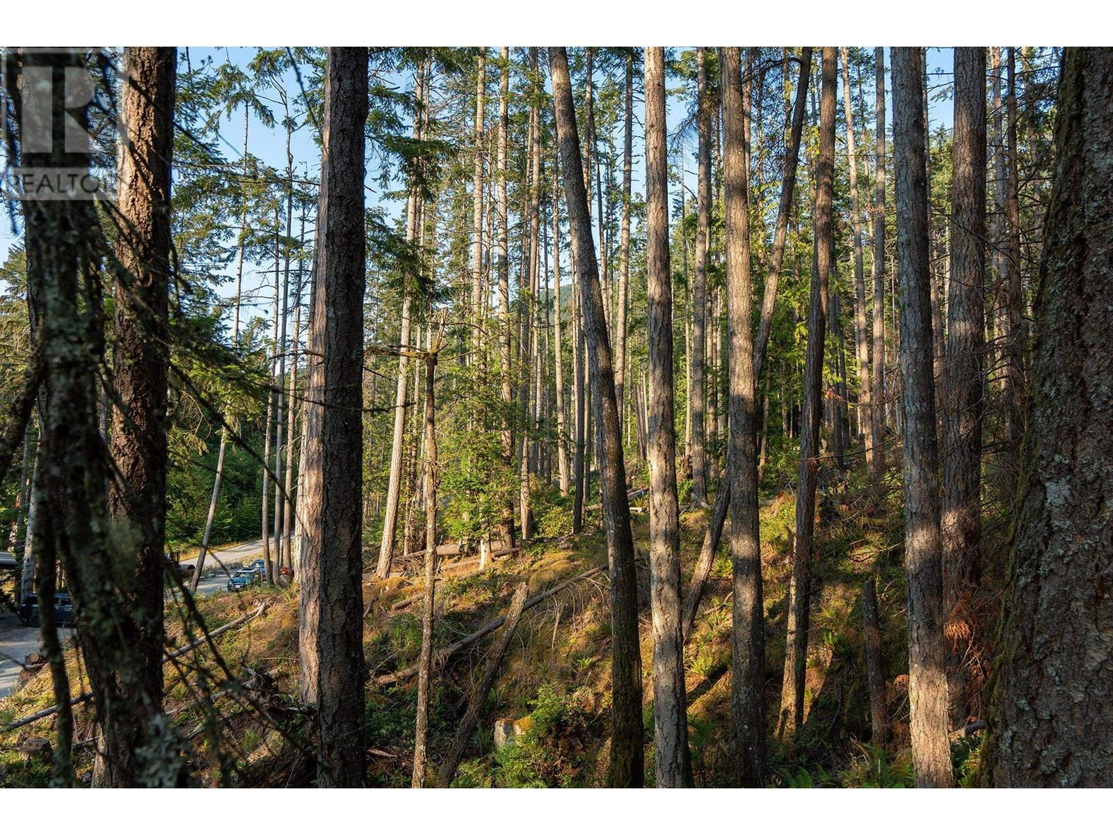 786 Hayes Road, Bowen Island, British Columbia  V0N 1G2 - Photo 6 - R3017985
