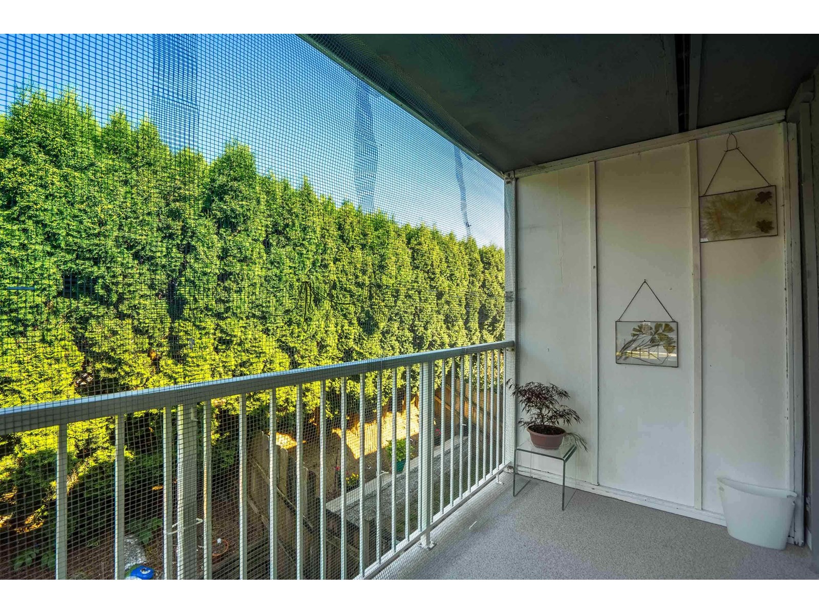 Property at 1 33900 MAYFAIR AVENUE image 3