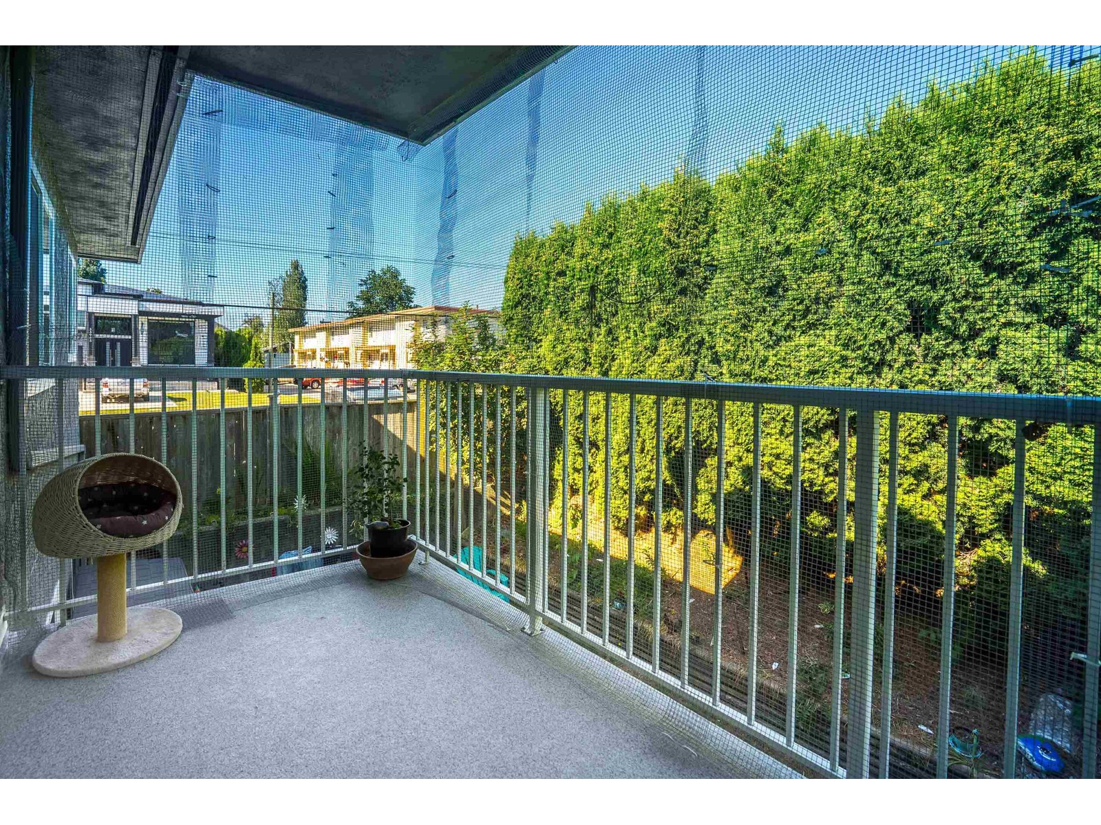 Property at 1 33900 MAYFAIR AVENUE image 2