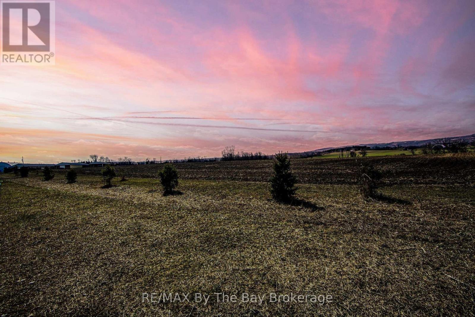 828482 Mulmur Nottawasaga T Line, Mulmur, Ontario  L9V 0N9 - Photo 41 - X12011929