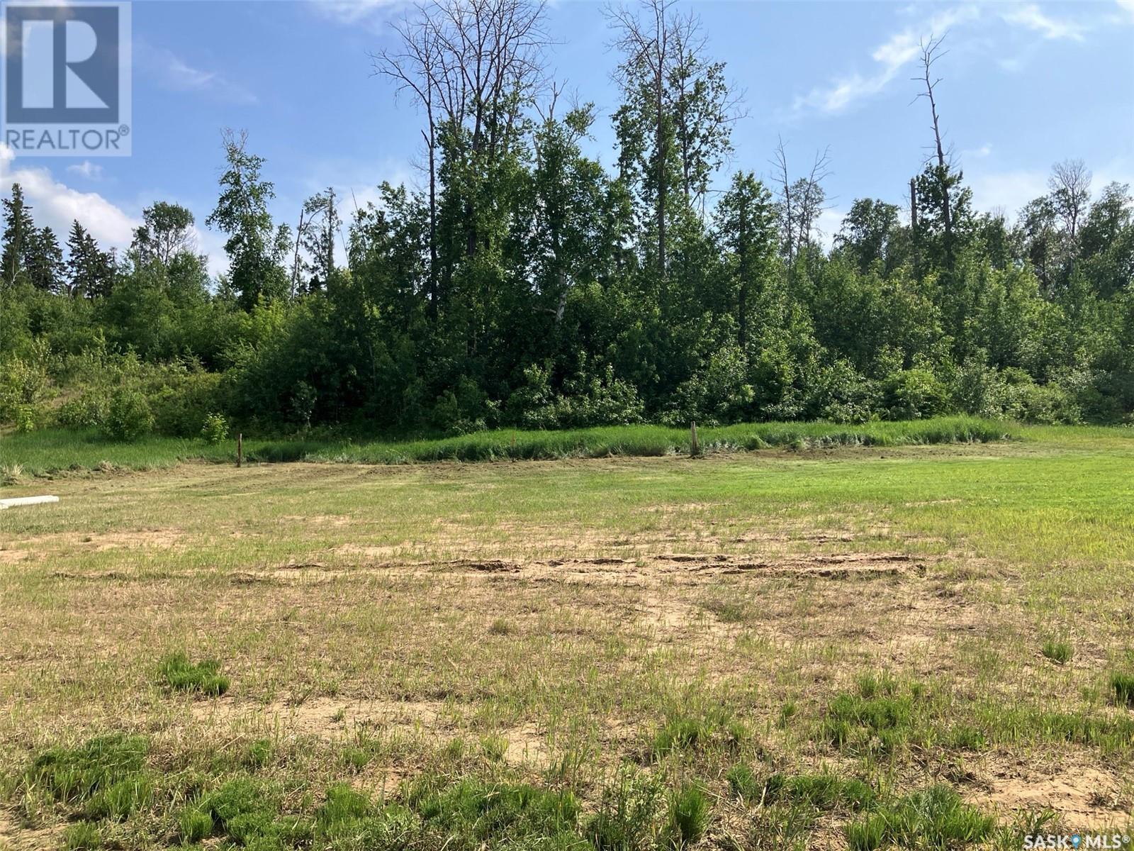 Lot 24, Birch Avenue, Tobin Lake, Tobin Lake, Saskatchewan  S0E 1E0 - Photo 4 - SK010166