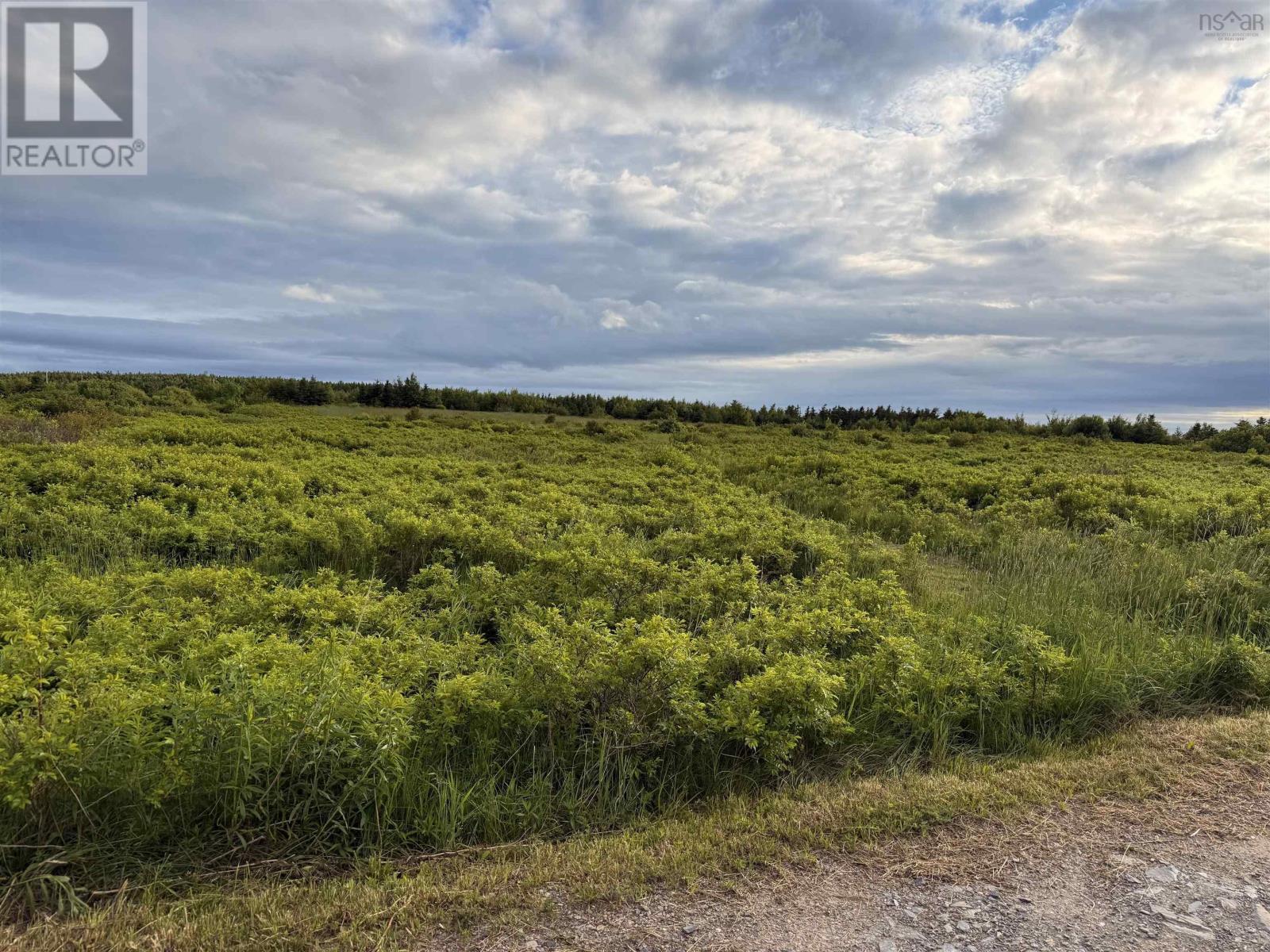 Chemin Simeon Aucoin Road, St. Joseph Du Moine, Nova Scotia  B0E 3A0 - Photo 2 - 202515192