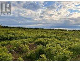 Chemin Simeon Aucoin Road, St. Joseph Du Moine, Ca