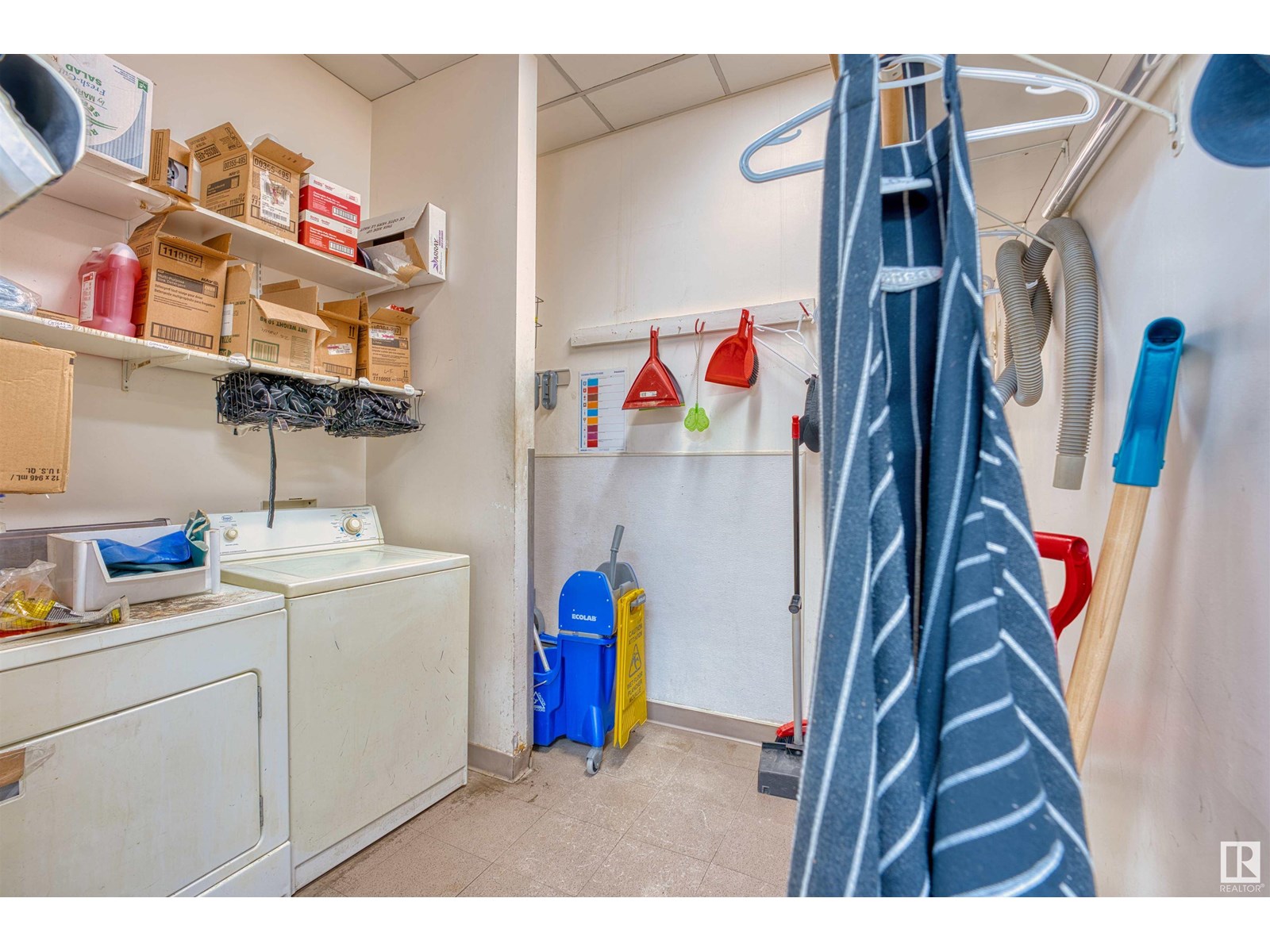 5121 50 Av, Cold Lake, Alberta  T9M 1P4 - Photo 13 - E4443388