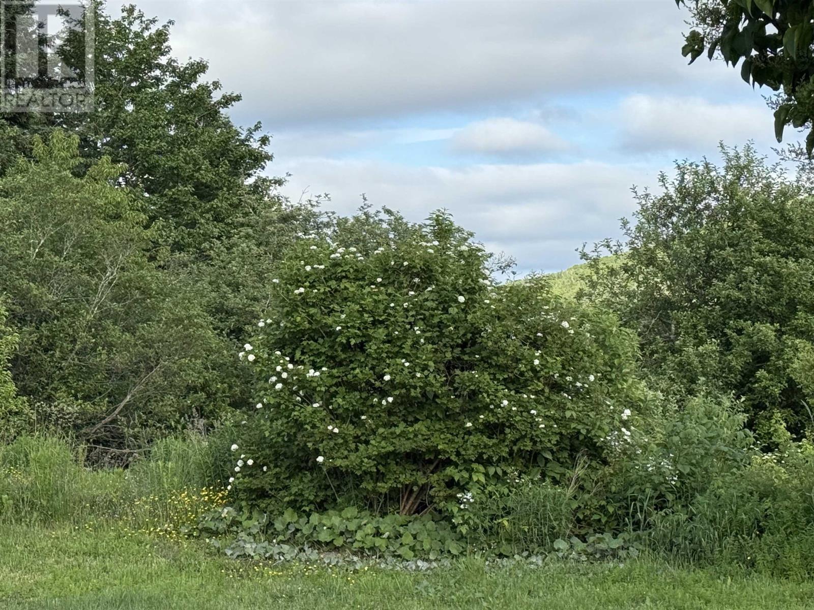 70 John Munroe Road, Marshy Hope, Nova Scotia  B2G 2K8 - Photo 17 - 202509253