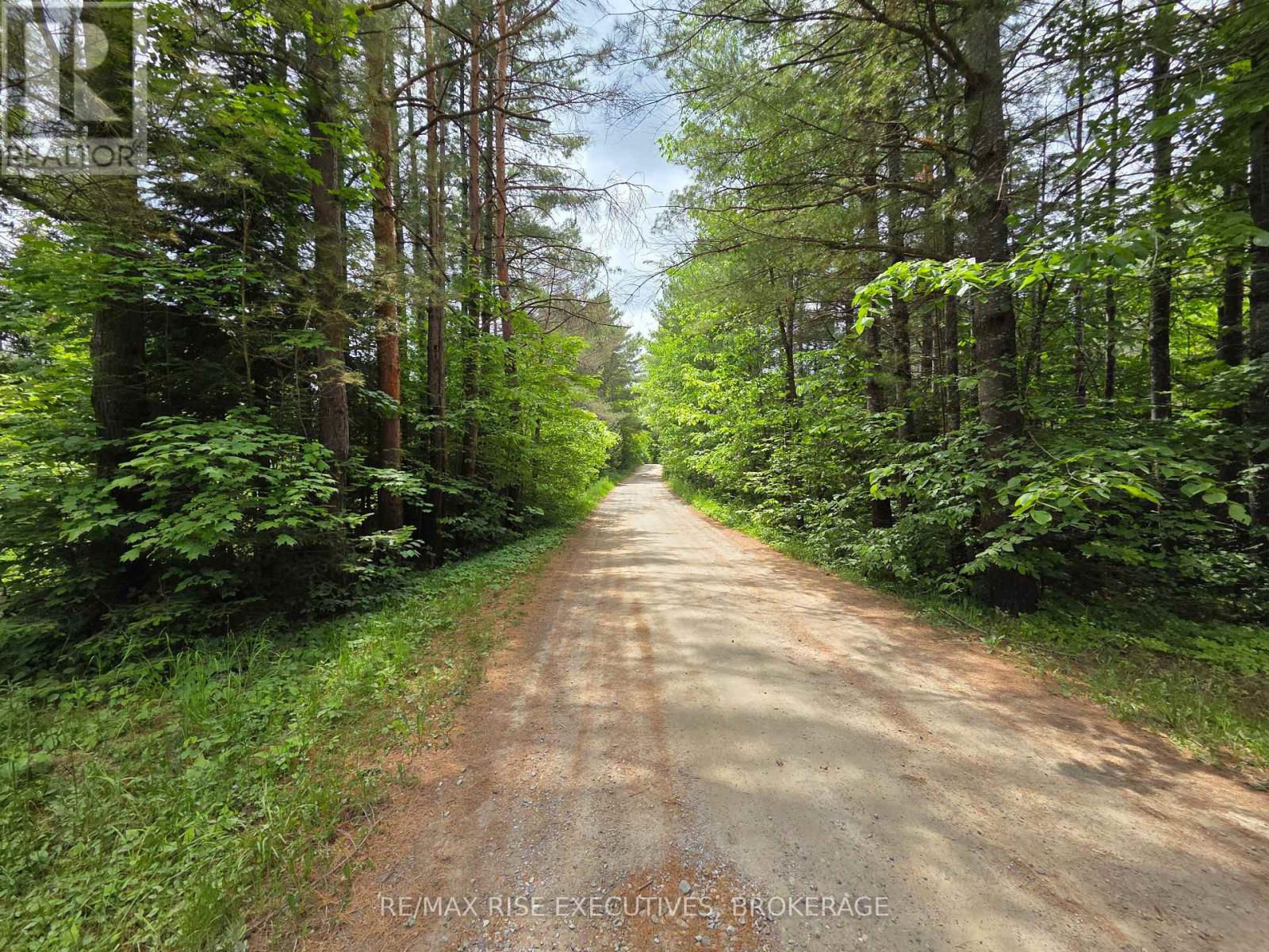 Lot 1 Woodland Park Drive, Central Frontenac, Ontario  K0H 1B0 - Photo 8 - X12234814