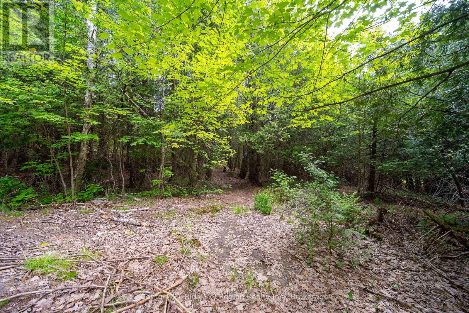Lot 20 Collins Drive, North Bay, Ontario  P1B 8G3 - Photo 1 - X12234804