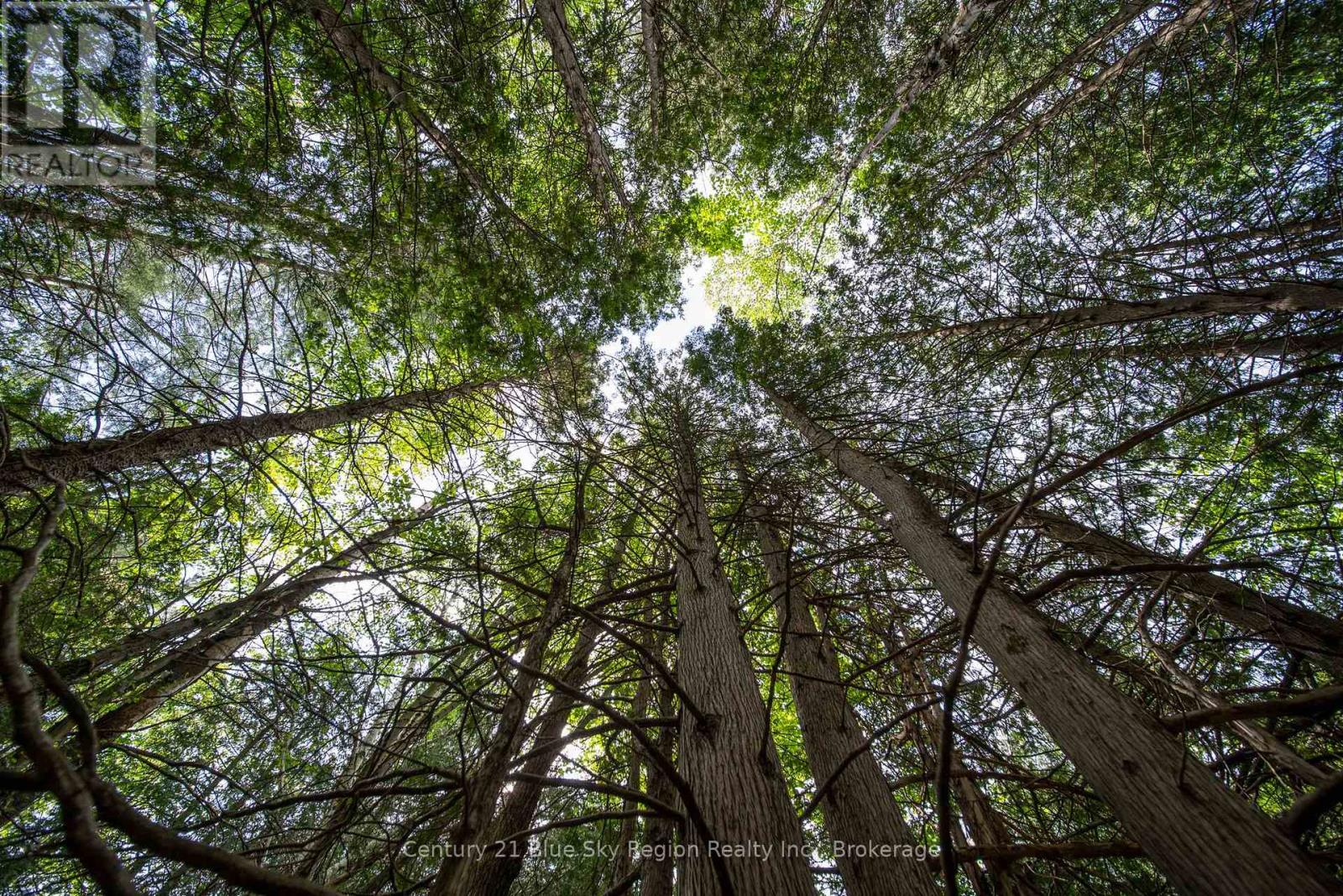 Lot 20 Collins Drive, North Bay, Ontario  P1B 8G3 - Photo 10 - X12234804