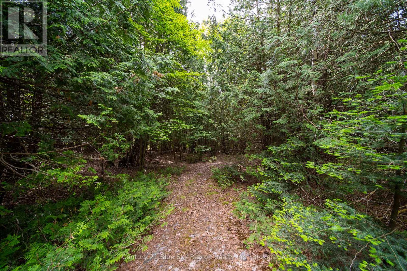 Lot 20 Collins Drive, North Bay, Ontario  P1B 8G3 - Photo 11 - X12234804