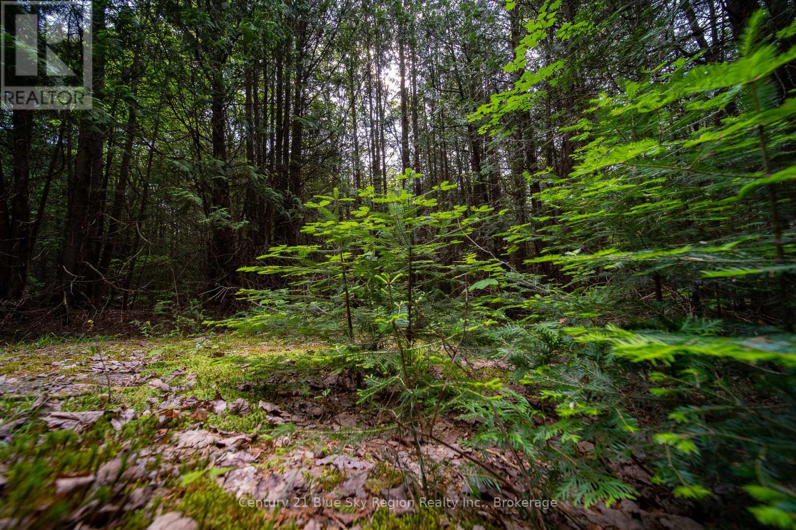 Lot 20 Collins Drive, North Bay, Ontario  P1B 8G3 - Photo 12 - X12234804