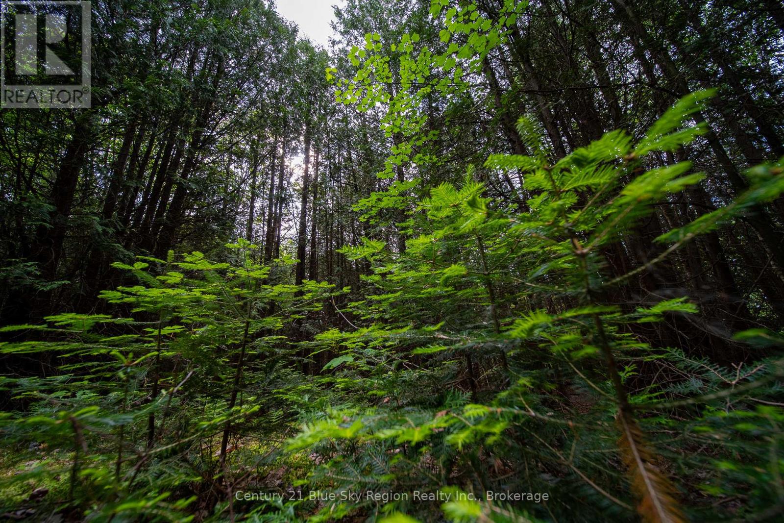 Lot 20 Collins Drive, North Bay, Ontario  P1B 8G3 - Photo 13 - X12234804