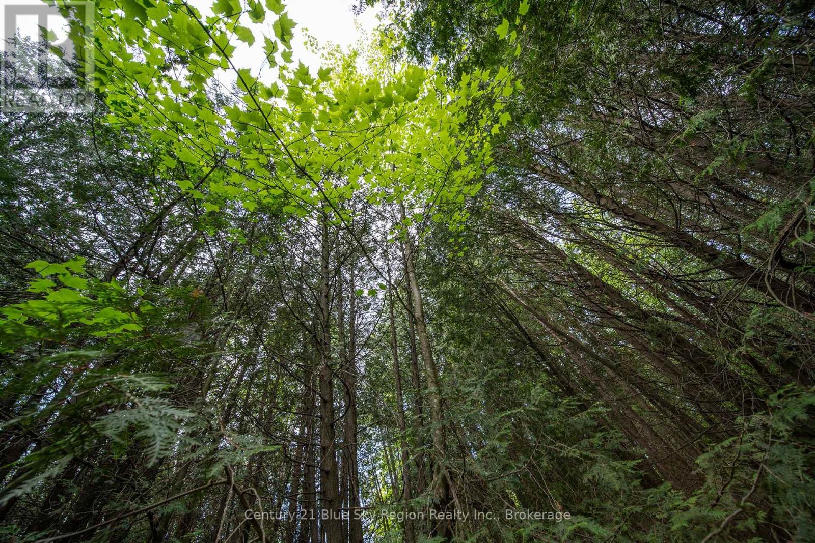 Lot 20 Collins Drive, North Bay, Ontario  P1B 8G3 - Photo 14 - X12234804