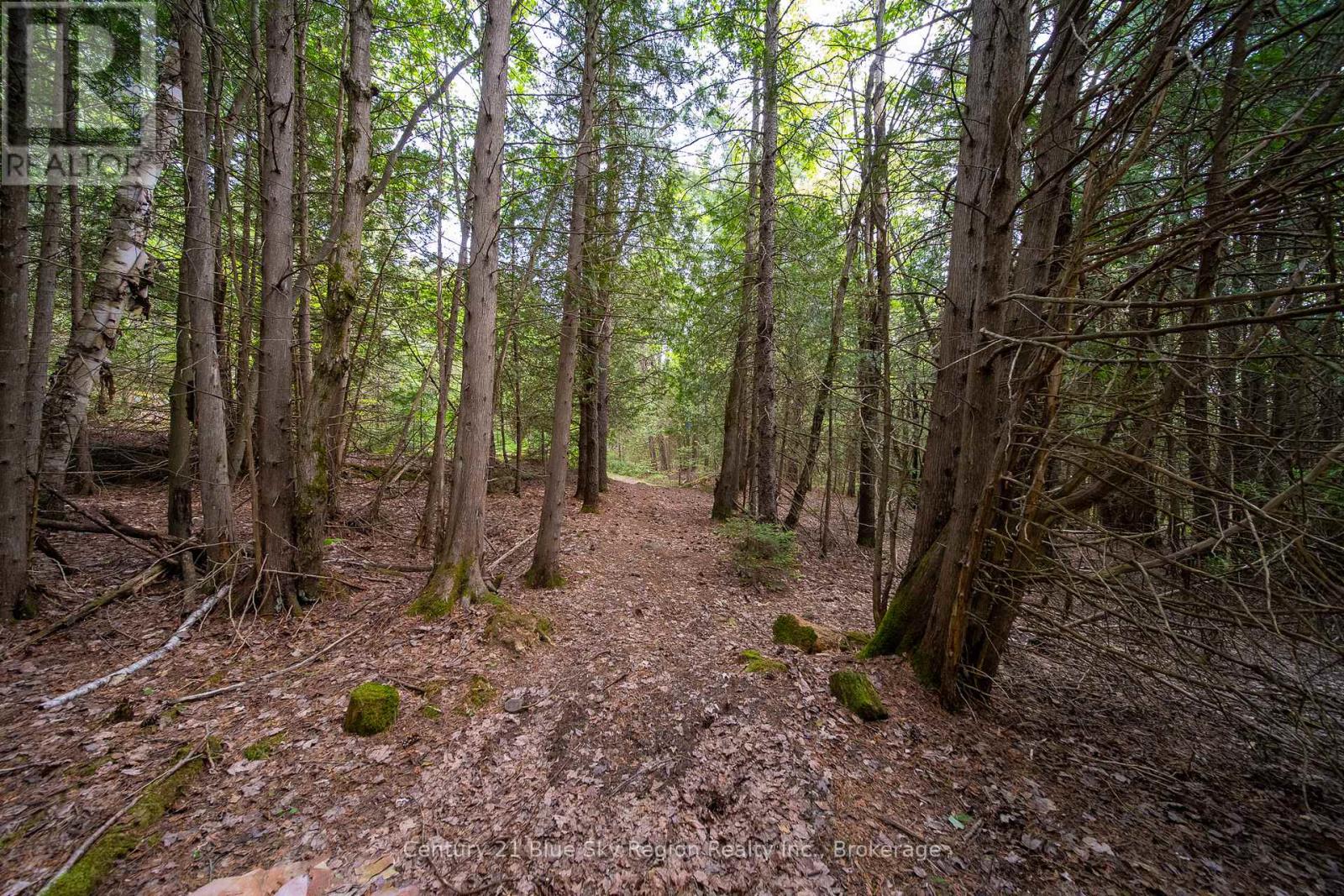 Lot 20 Collins Drive, North Bay, Ontario  P1B 8G3 - Photo 2 - X12234804