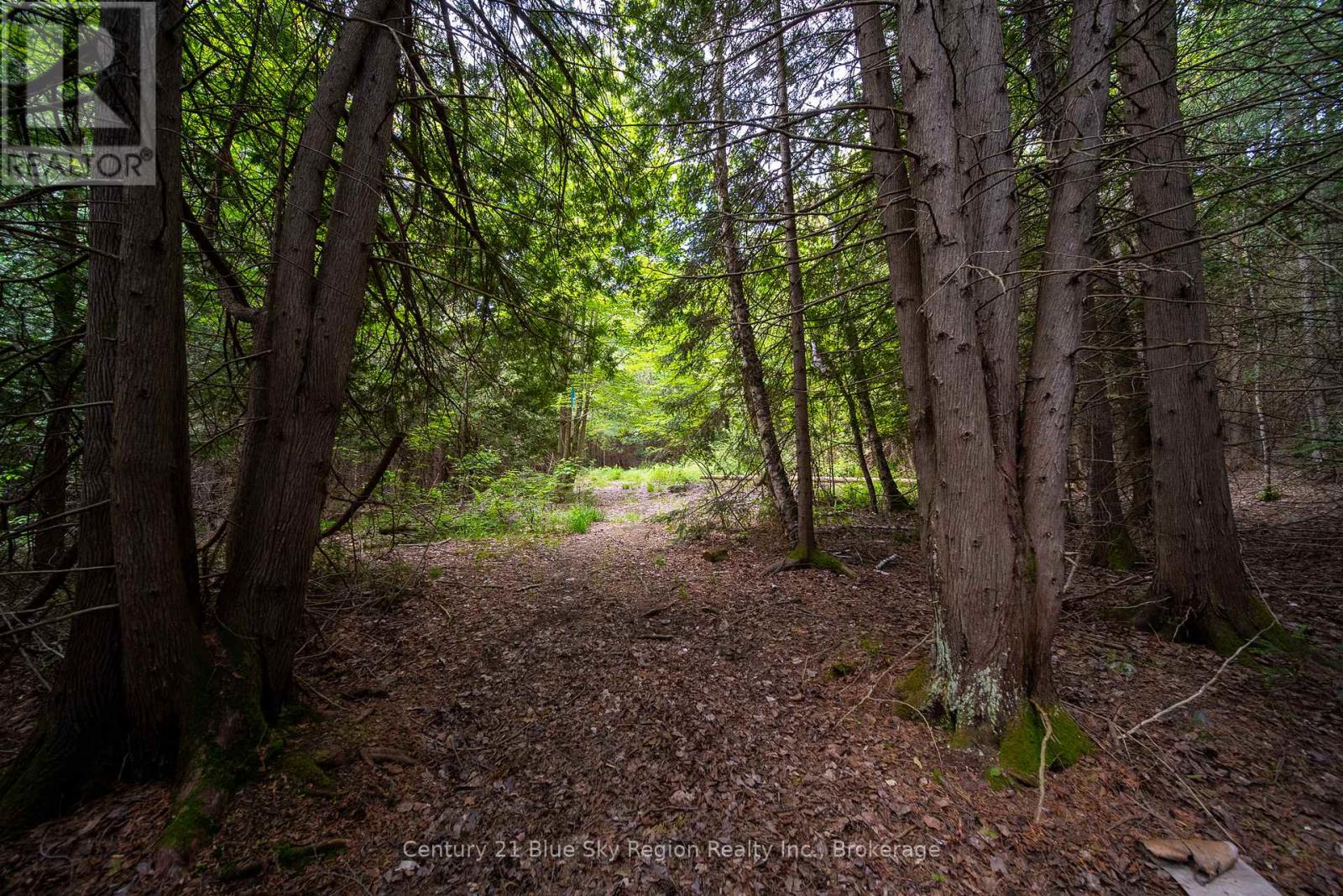 Lot 20 Collins Drive, North Bay, Ontario  P1B 8G3 - Photo 3 - X12234804