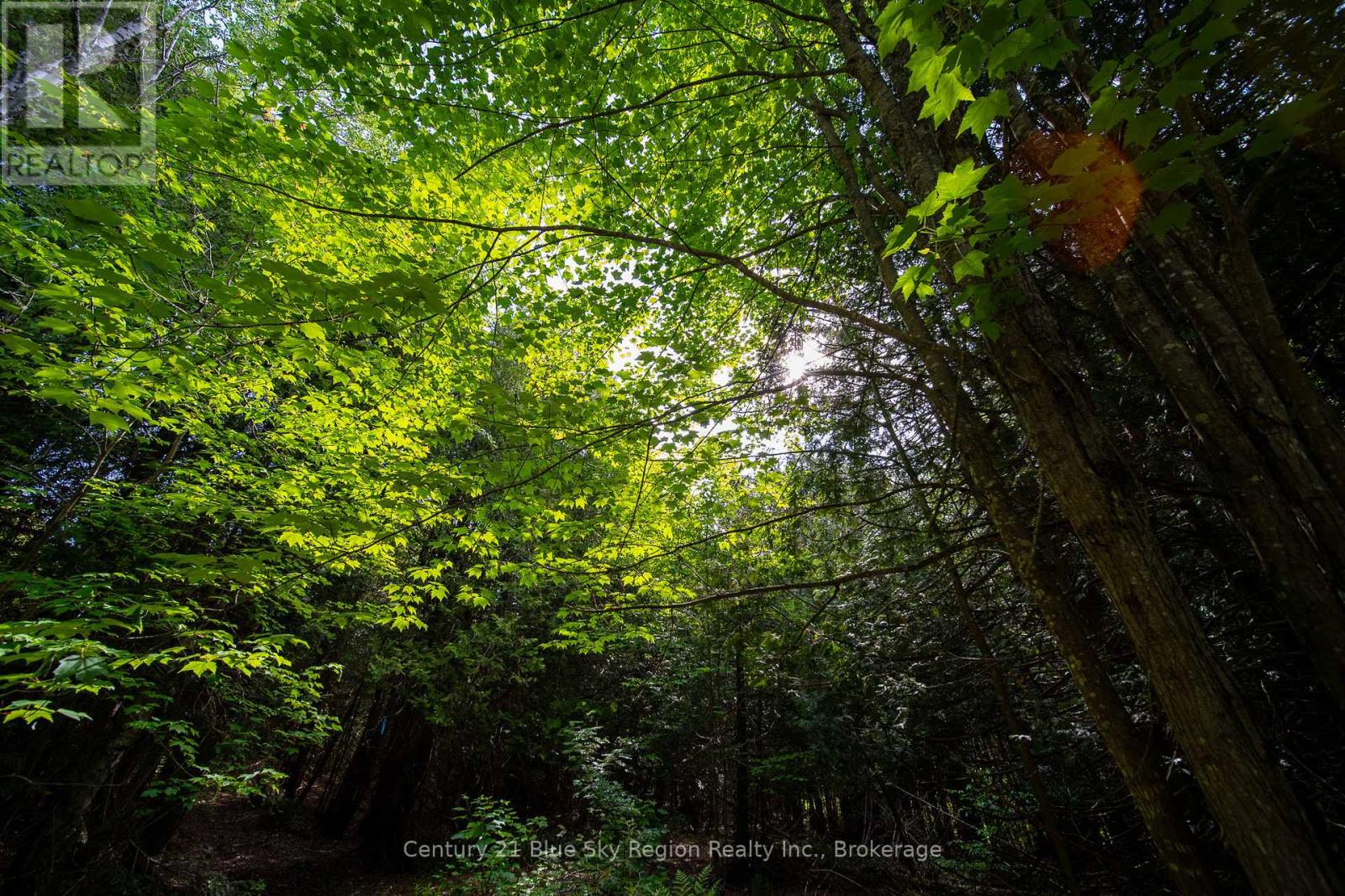Lot 20 Collins Drive, North Bay, Ontario  P1B 8G3 - Photo 4 - X12234804
